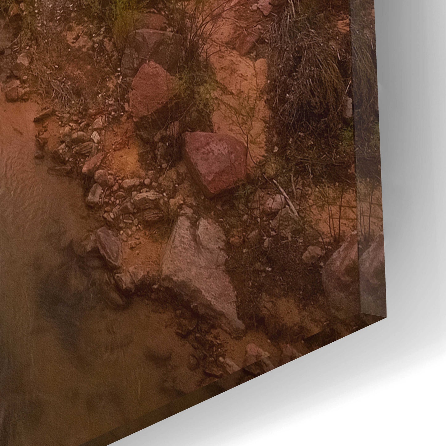 Epic Art 'Path to Zion - Zion National Park' by Darren White, Acrylic Glass Wall Art,12x16