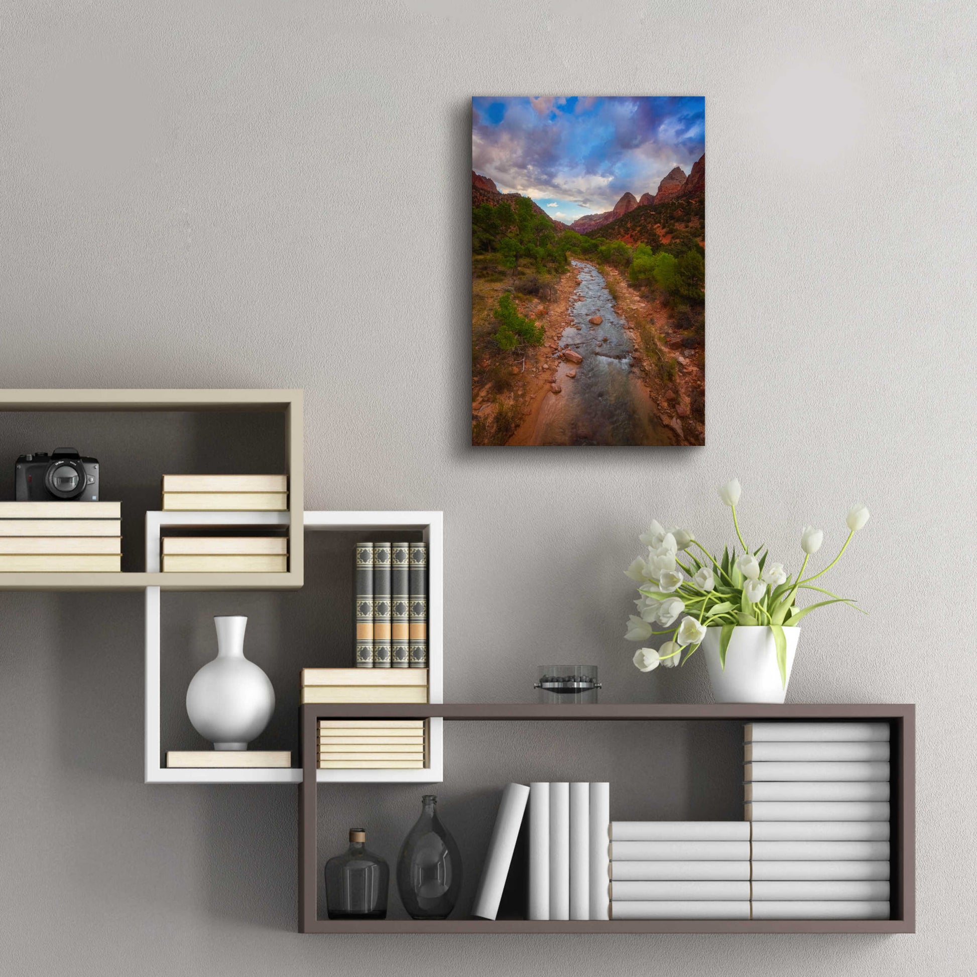 Epic Art 'Path to Zion - Zion National Park' by Darren White, Acrylic Glass Wall Art,16x24