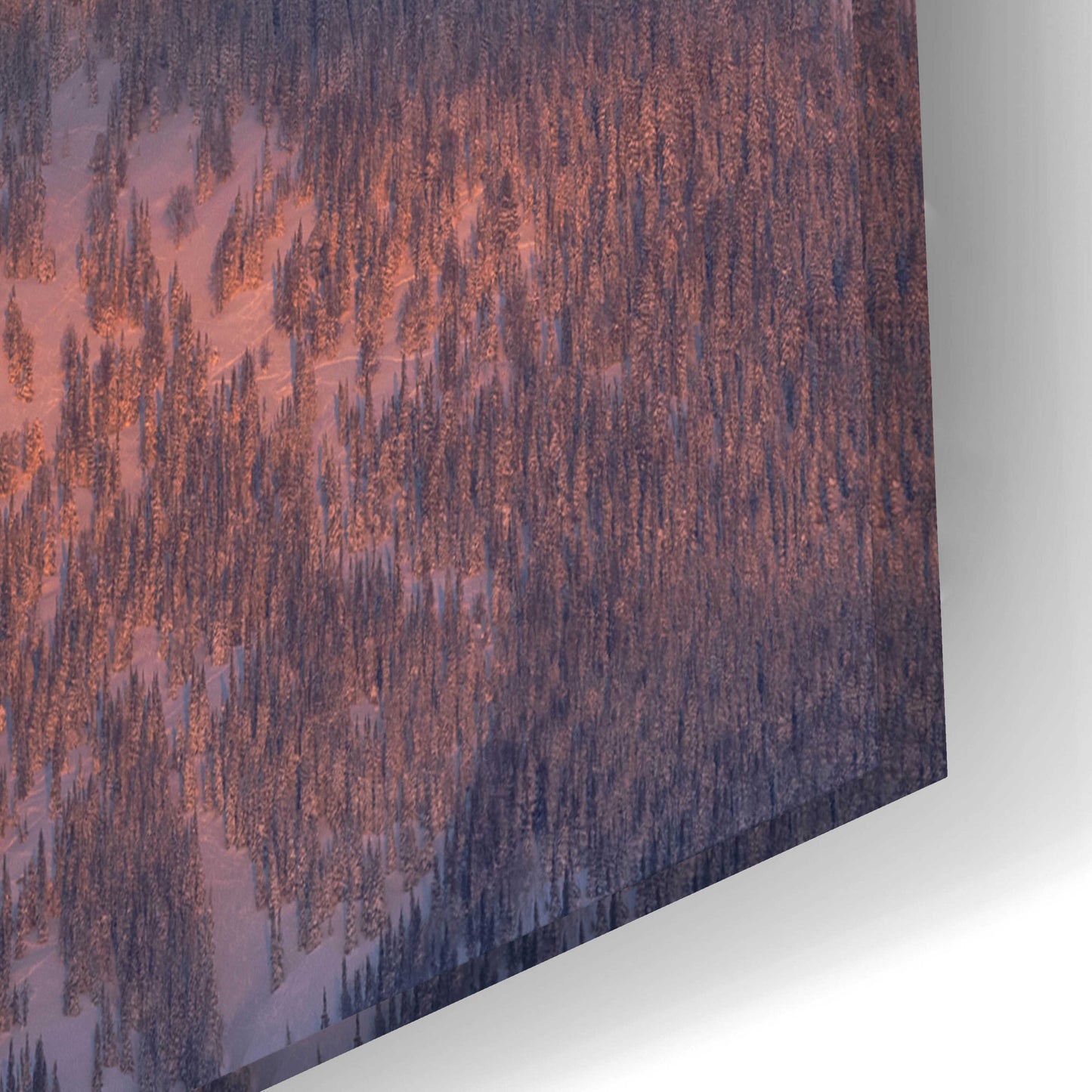 Epic Art 'Rise Above - Grand Teton National Park' by Darren White, Acrylic Glass Wall Art,24x16