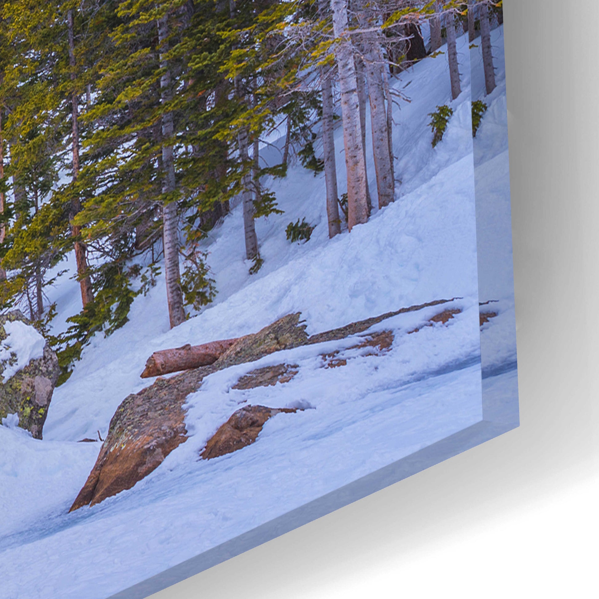 Epic Art 'Rocky Mountain Snowshoer - Rocky Mountain National Park' by Darren White, Acrylic Glass Wall Art,24x16