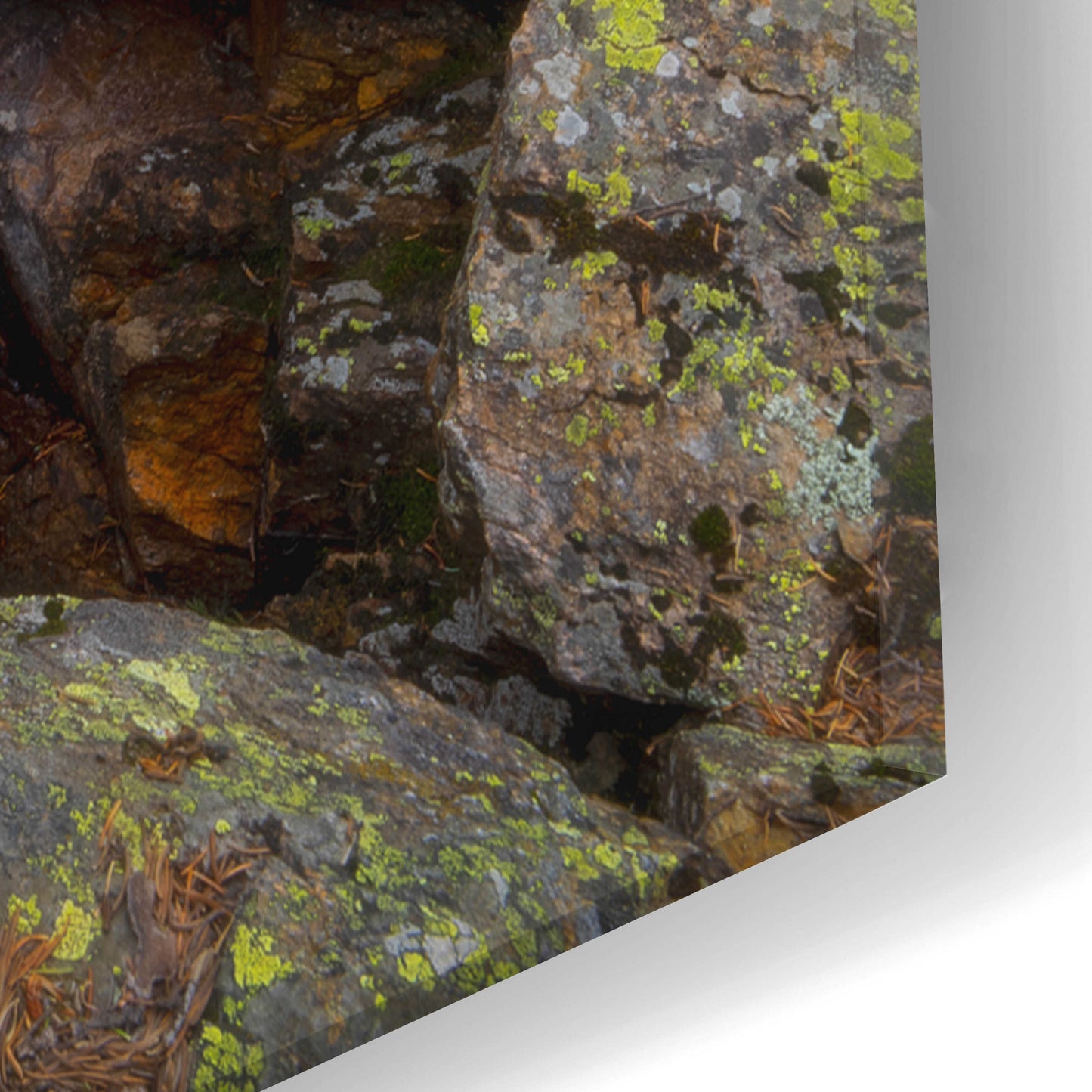Epic Art 'Stream of Solitude - Rocky Mountain National Park' by Darren White, Acrylic Glass Wall Art,16x24