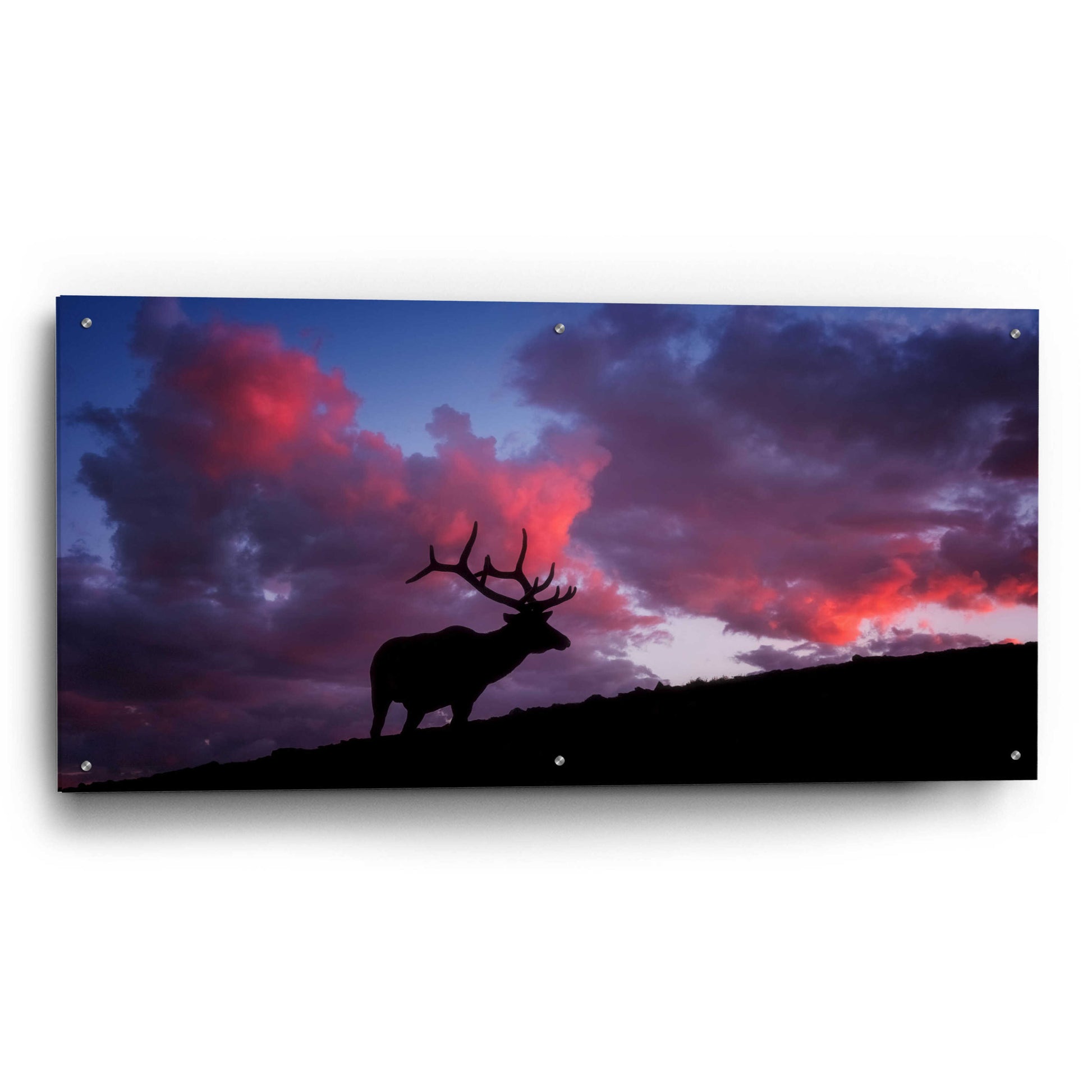 Epic Art 'Sunset in the Rockies - Rocky Mountain National Park' by Darren White, Acrylic Glass Wall Art,48x24