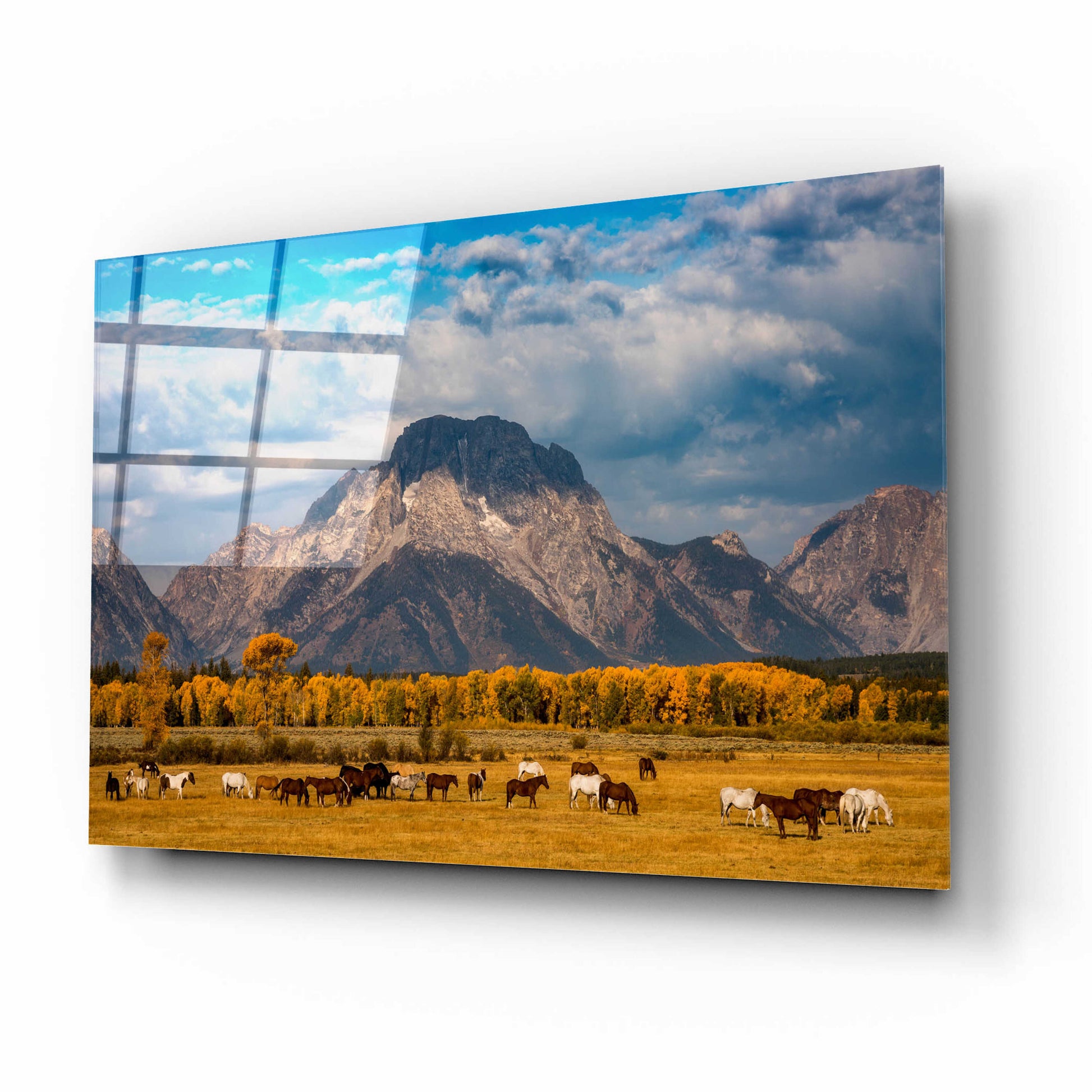Epic Art 'Teton Horse Ranch - Grand Teton National Park' by Darren White, Acrylic Glass Wall Art,16x12