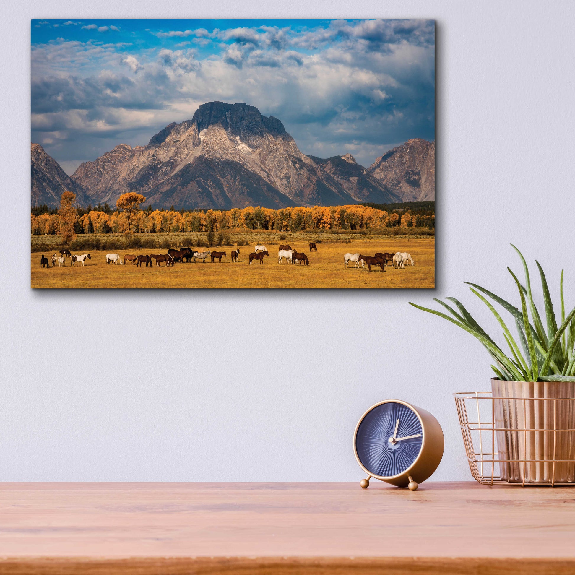 Epic Art 'Teton Horse Ranch - Grand Teton National Park' by Darren White, Acrylic Glass Wall Art,16x12