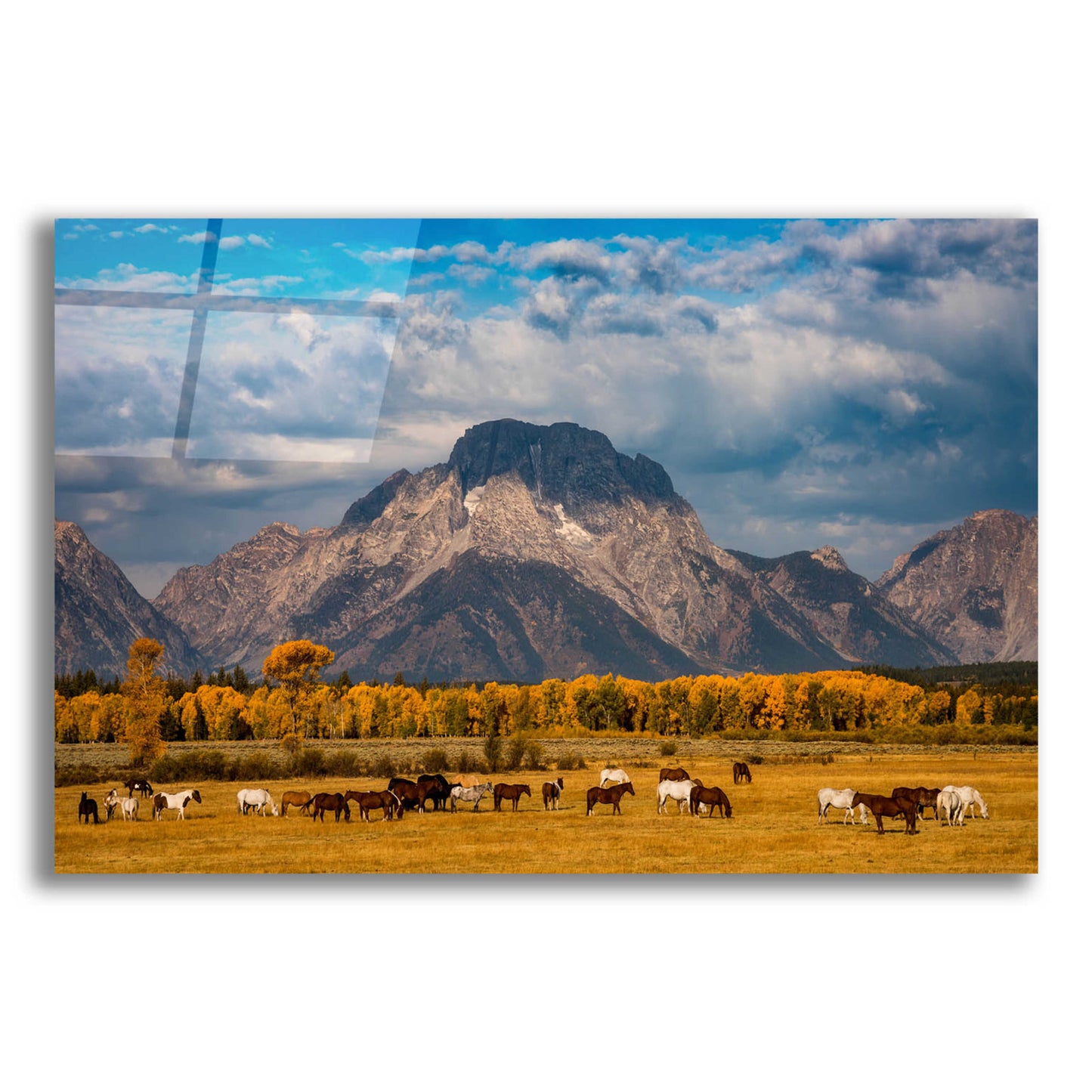 Epic Art 'Teton Horse Ranch - Grand Teton National Park' by Darren White, Acrylic Glass Wall Art,24x16