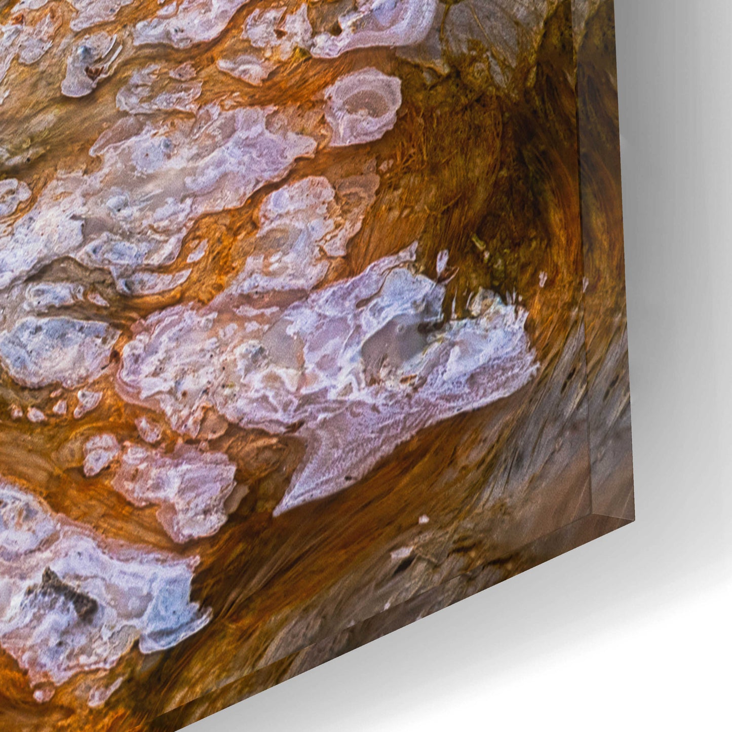 Epic Art 'Thermal Art - Yellowstone National Park' by Darren White, Acrylic Glass Wall Art,16x12