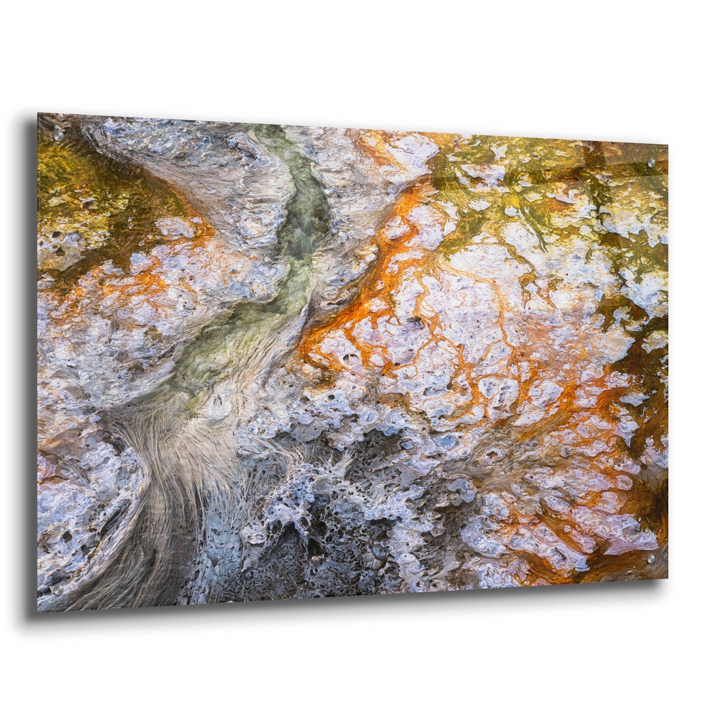 Epic Art 'Thermal Art - Yellowstone National Park' by Darren White, Acrylic Glass Wall Art,36x24