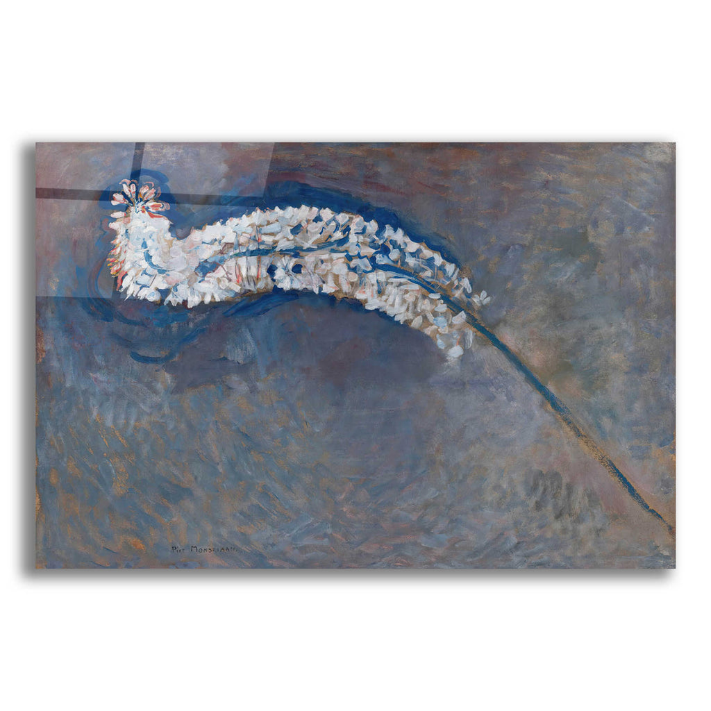 Epic Art 'Foxtail Lily' by Piet Mondrian, Acrylic Glass Wall Art