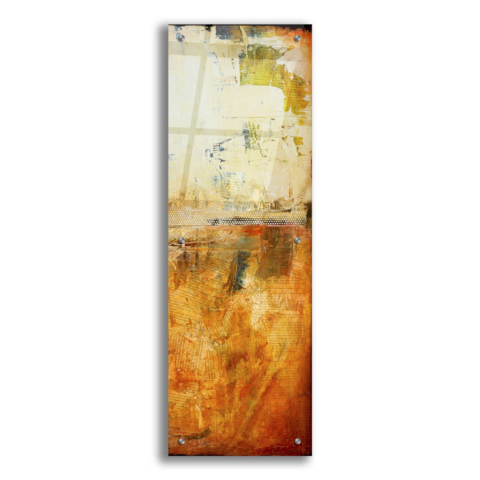 Epic Art 'Story in Your Eyes II' by Erin Ashley, Acrylic Glass Wall Art,12x36