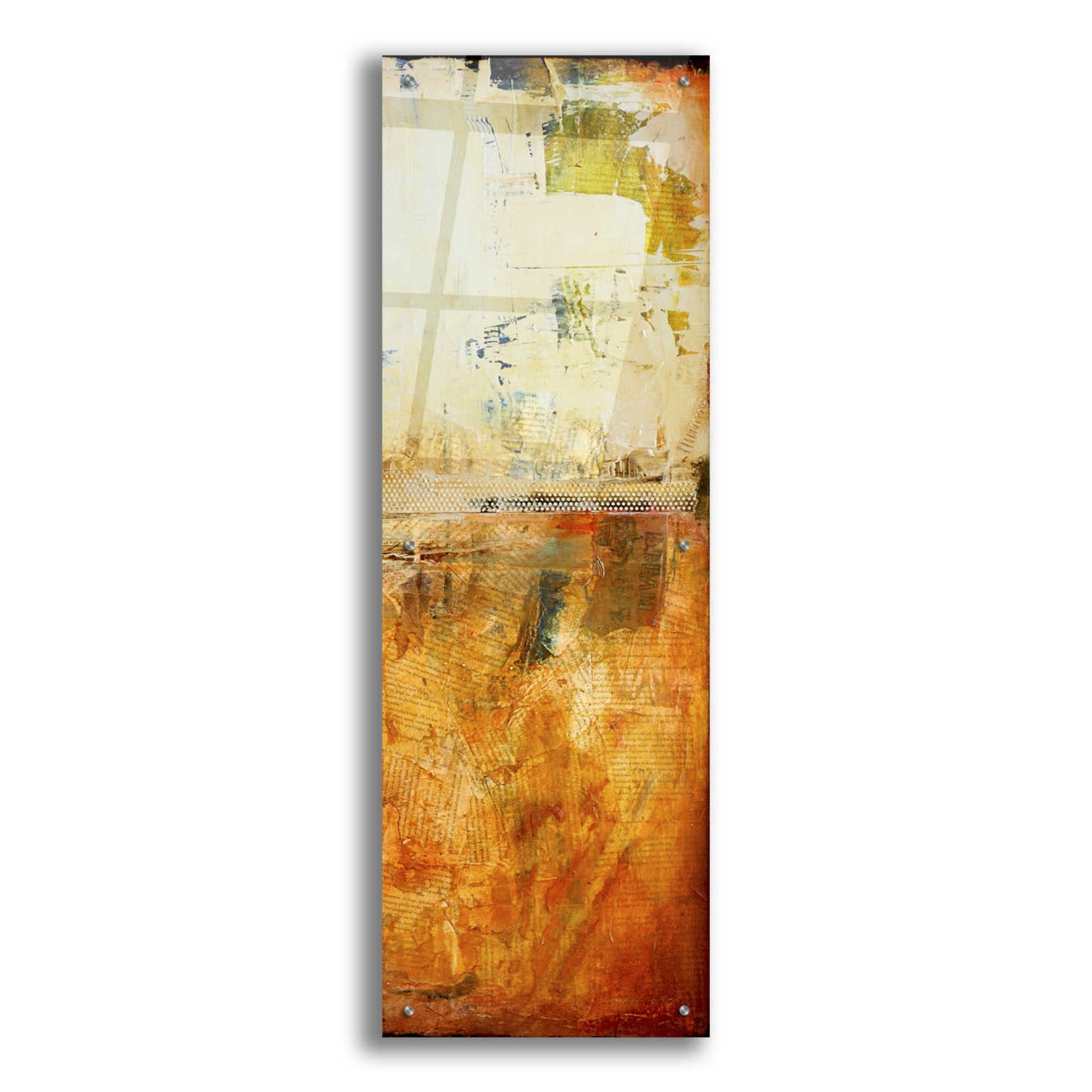 Epic Art 'Story in Your Eyes II' by Erin Ashley, Acrylic Glass Wall Art,16x48