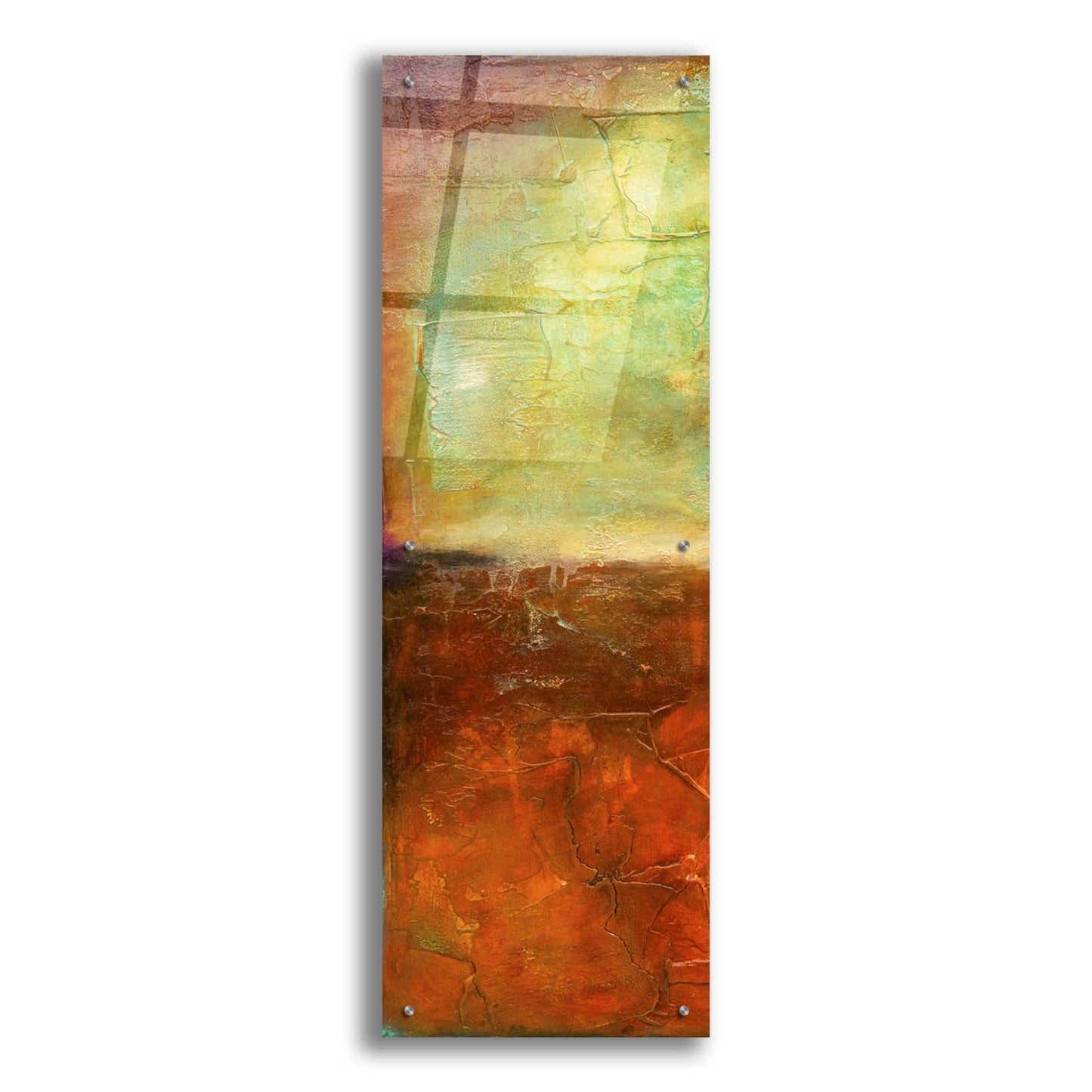 Epic Art 'Unfiltered I' by Erin Ashley, Acrylic Glass Wall Art,16x48