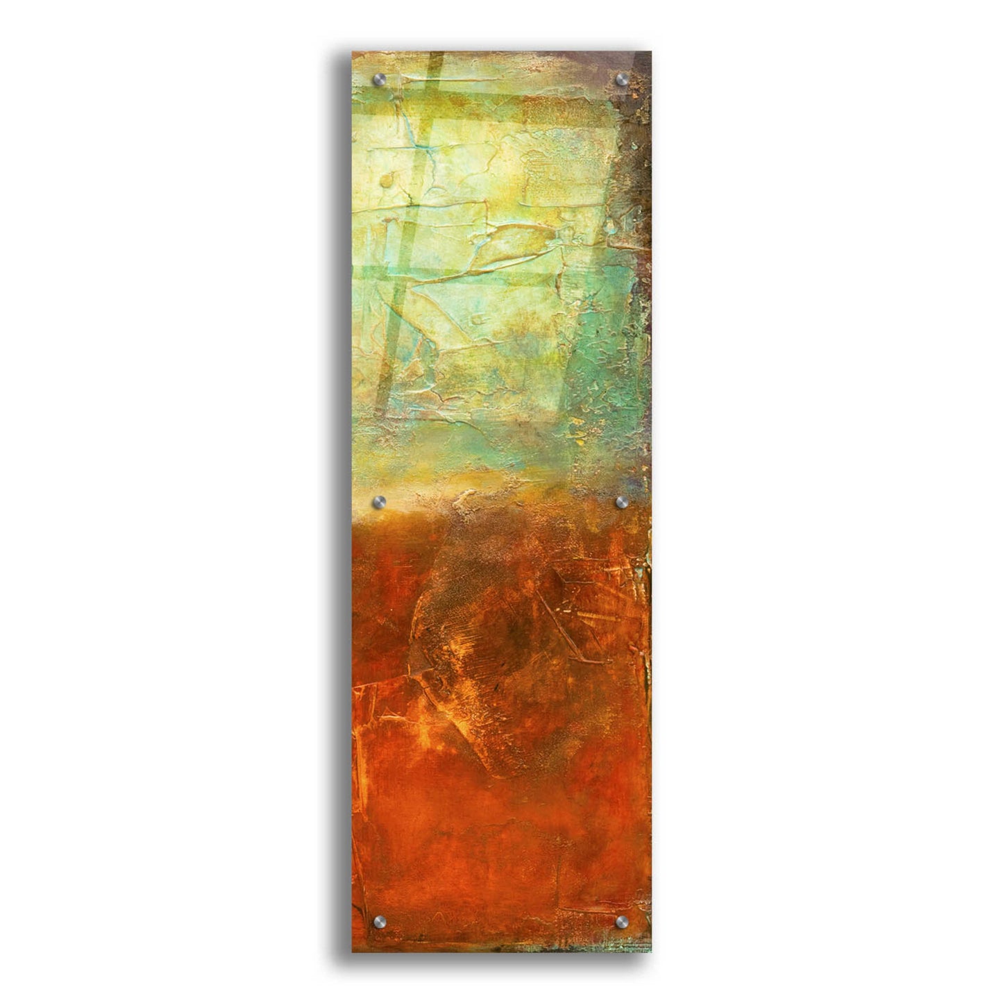 Epic Art 'Unfiltered II' by Erin Ashley, Acrylic Glass Wall Art,12x36