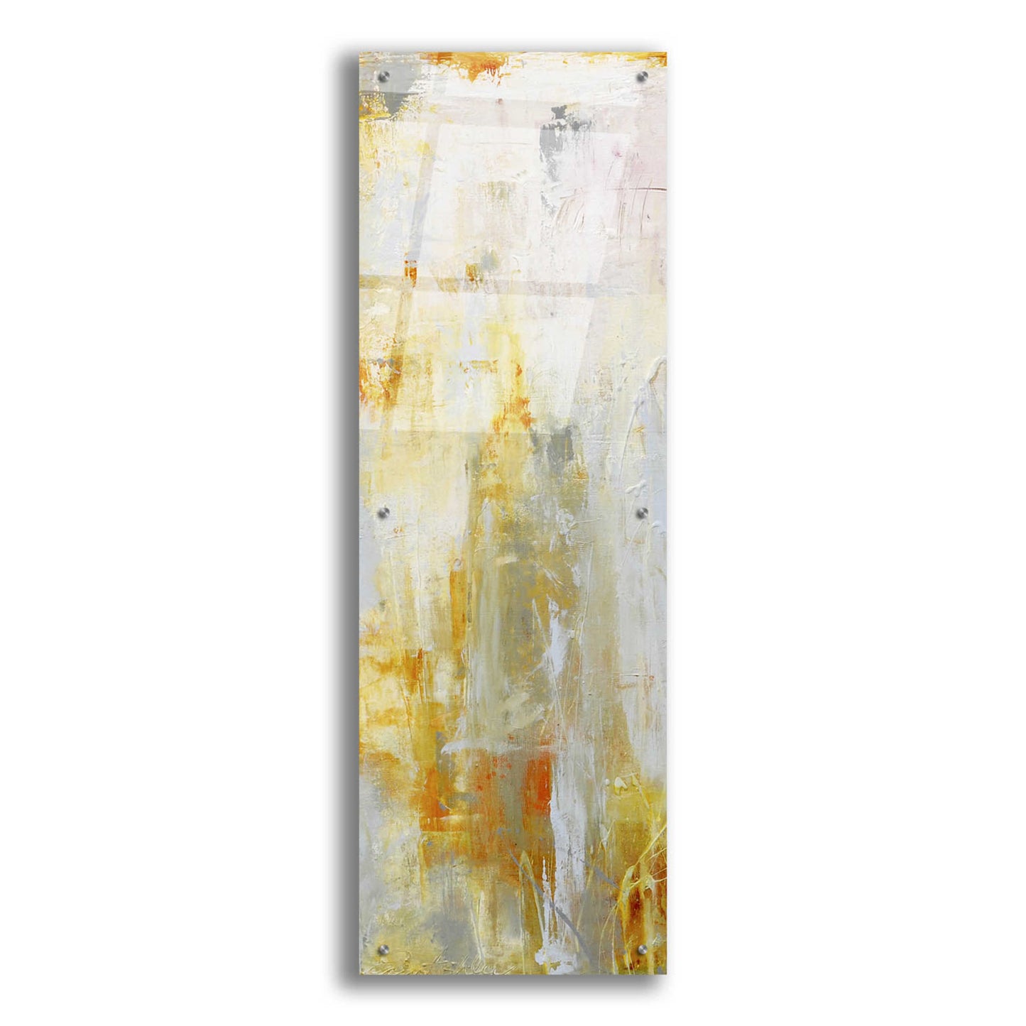 Epic Art 'Heart of Glass I' by Erin Ashley, Acrylic Glass Wall Art,16x48