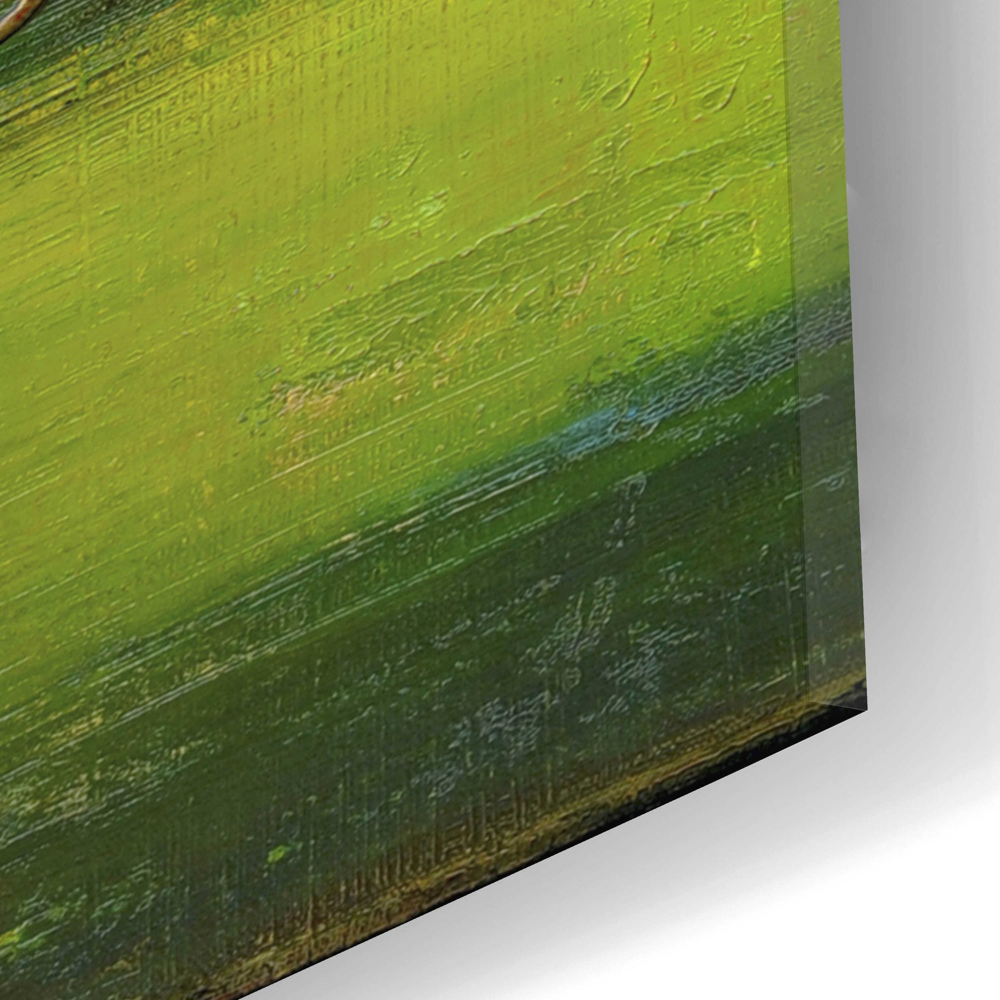 Epic Art 'Lime Wire I' by Erin Ashley, Acrylic Glass Wall Art,12x24