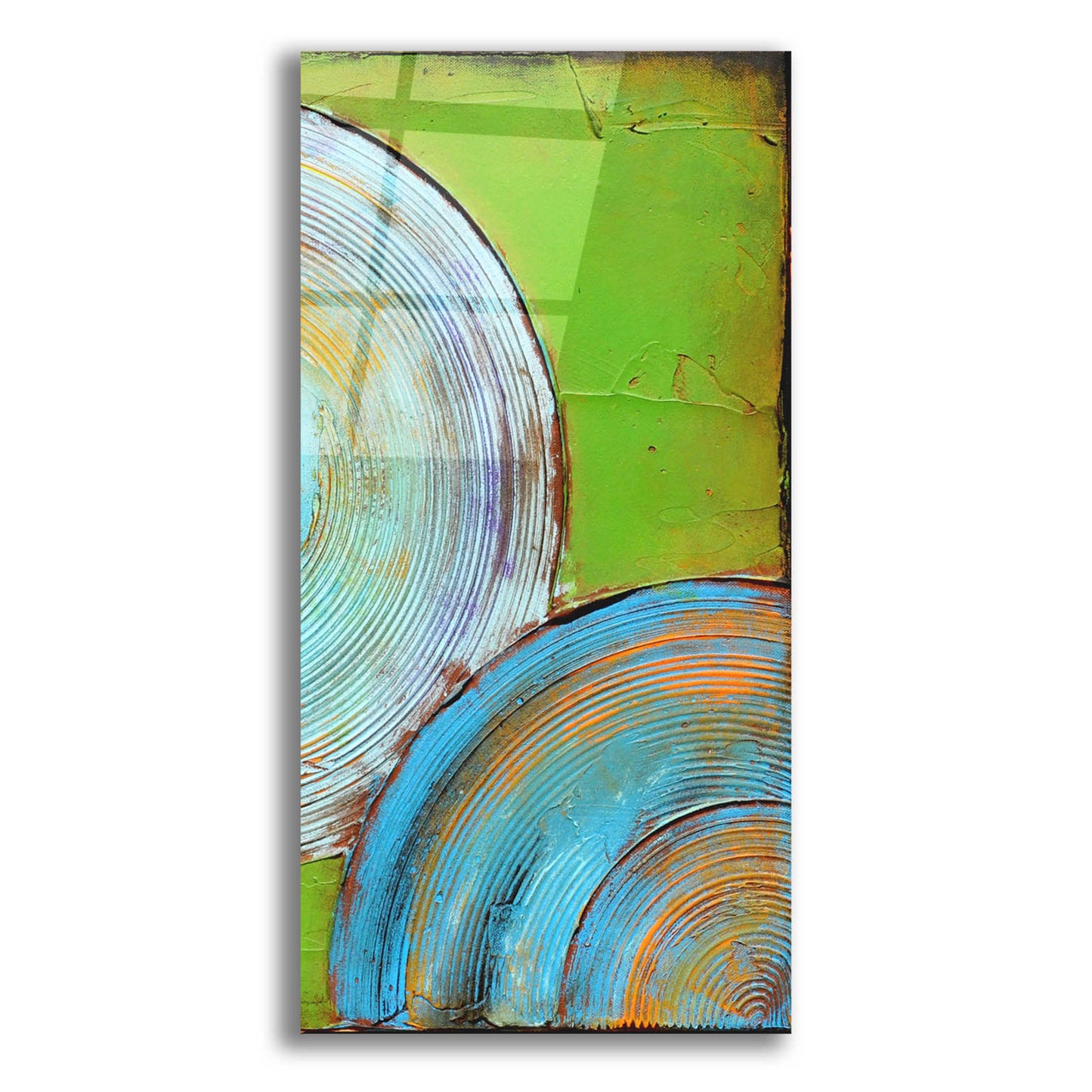 Epic Art 'Spring Congo II' by Erin Ashley, Acrylic Glass Wall Art,12x24