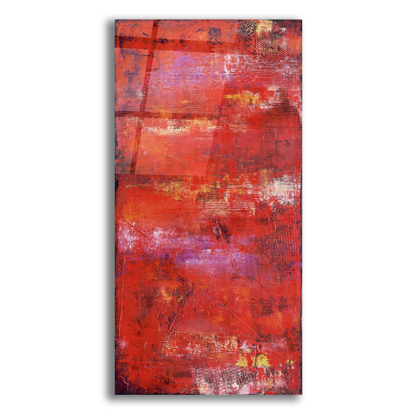 Epic Art 'Red Door II' by Erin Ashley, Acrylic Glass Wall Art,12x24