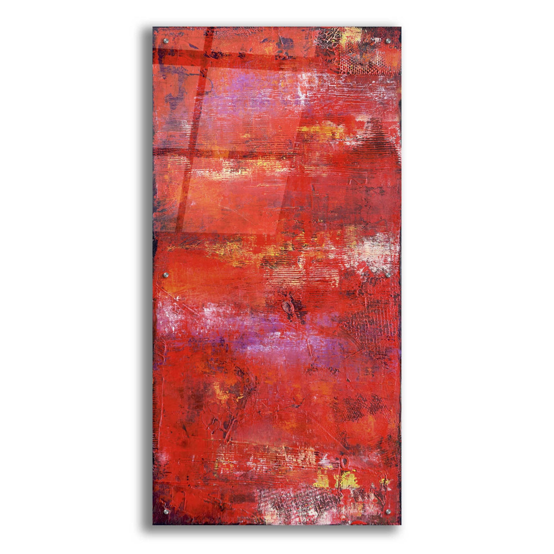 Epic Art 'Red Door II' by Erin Ashley, Acrylic Glass Wall Art,24x48