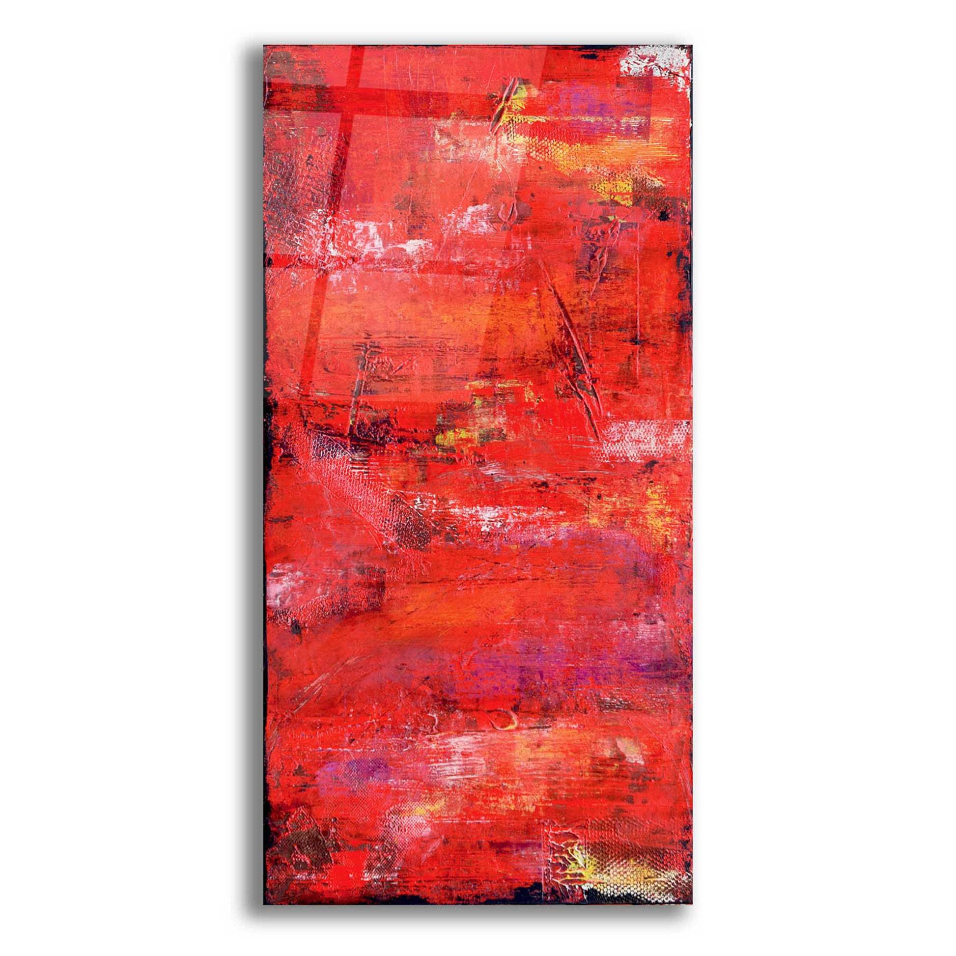 Epic Art 'Red Door I' by Erin Ashley, Acrylic Glass Wall Art,12x24