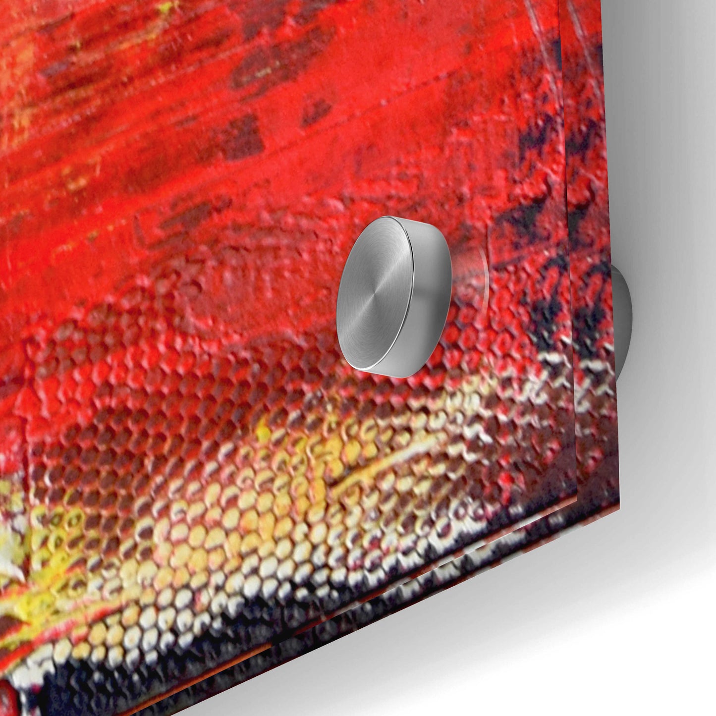 Epic Art 'Red Door I' by Erin Ashley, Acrylic Glass Wall Art,24x48