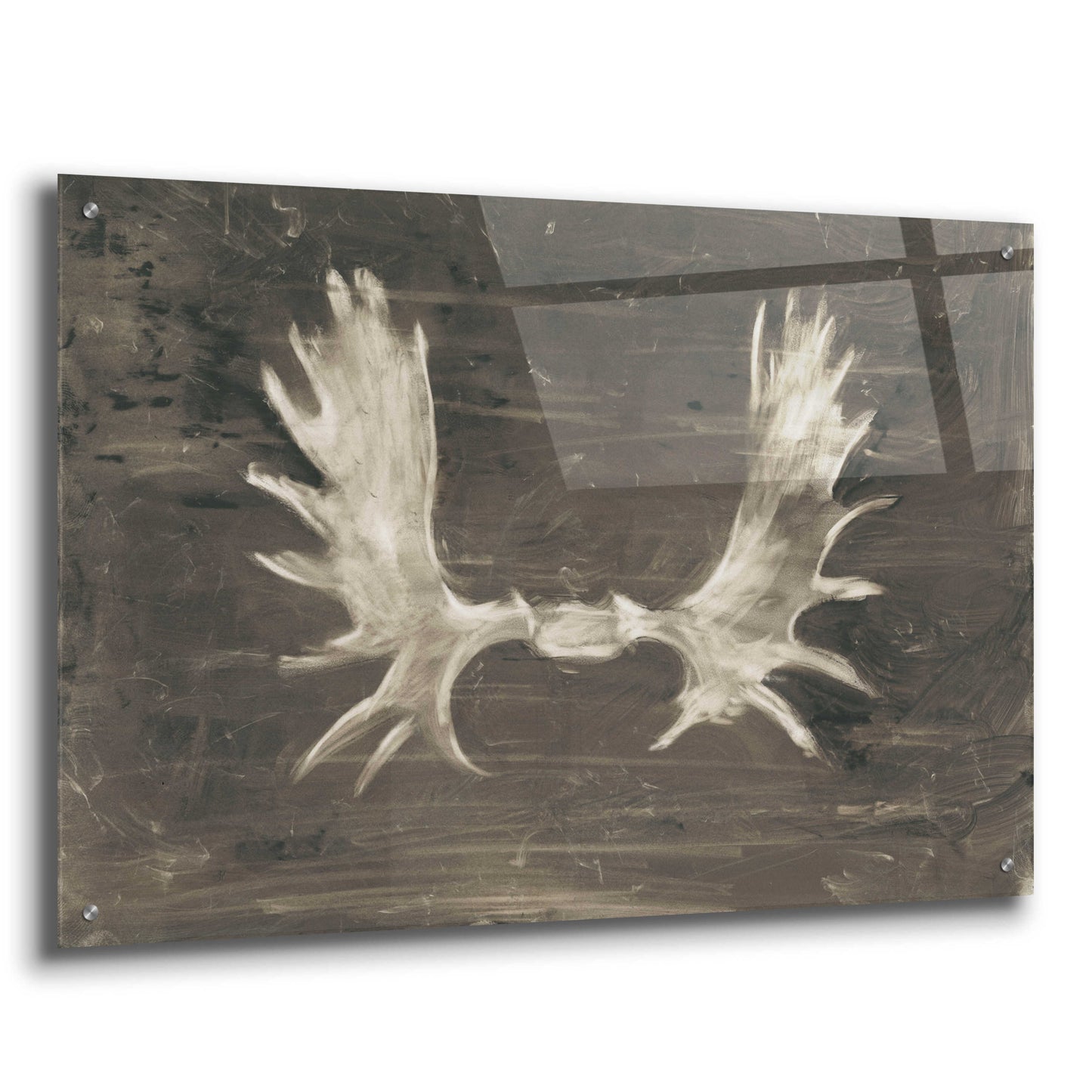 Epic Art 'Rustic Moose Mount I' by Ethan Harper, Acrylic Glass Wall Art,36x24