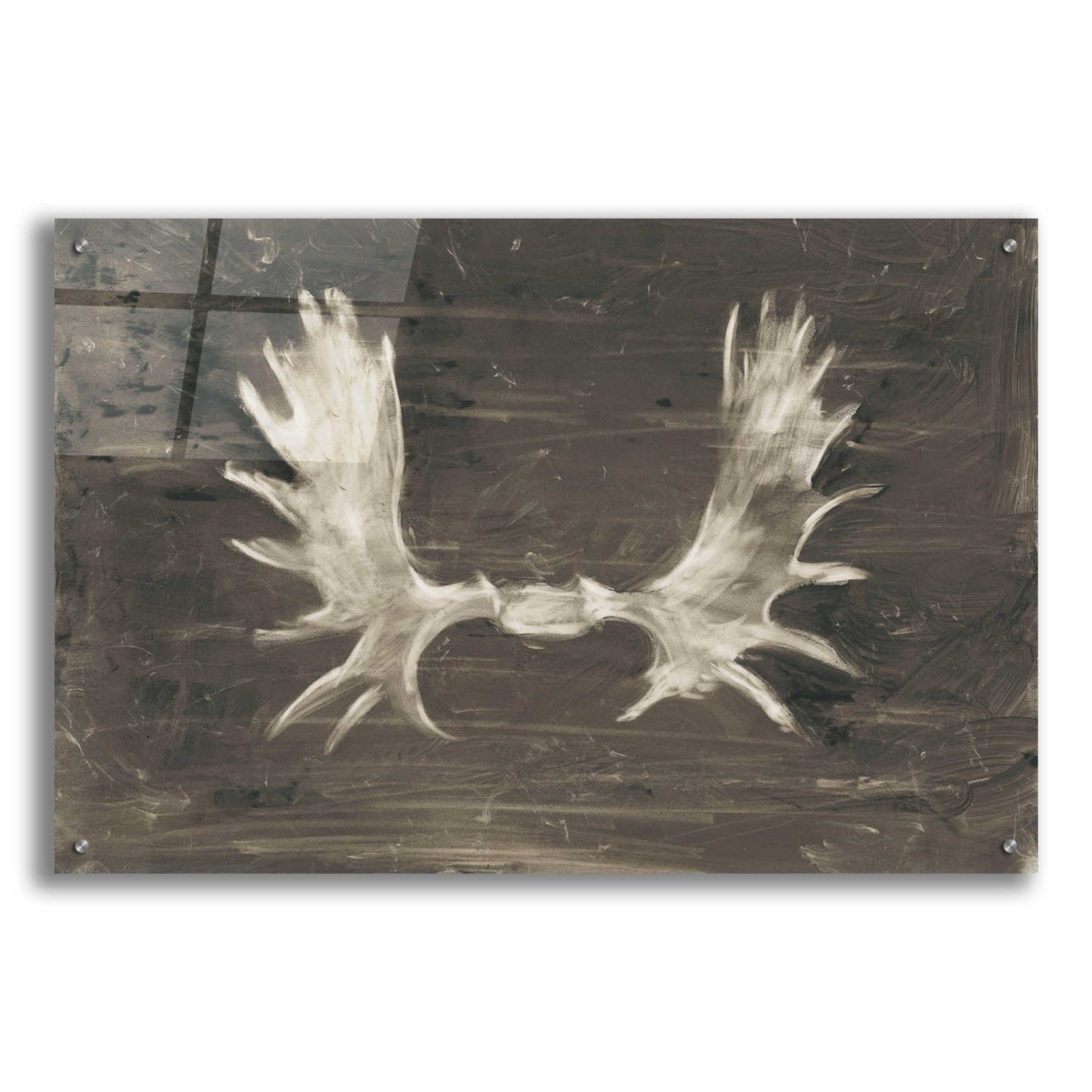 Epic Art 'Rustic Moose Mount I' by Ethan Harper, Acrylic Glass Wall Art,36x24