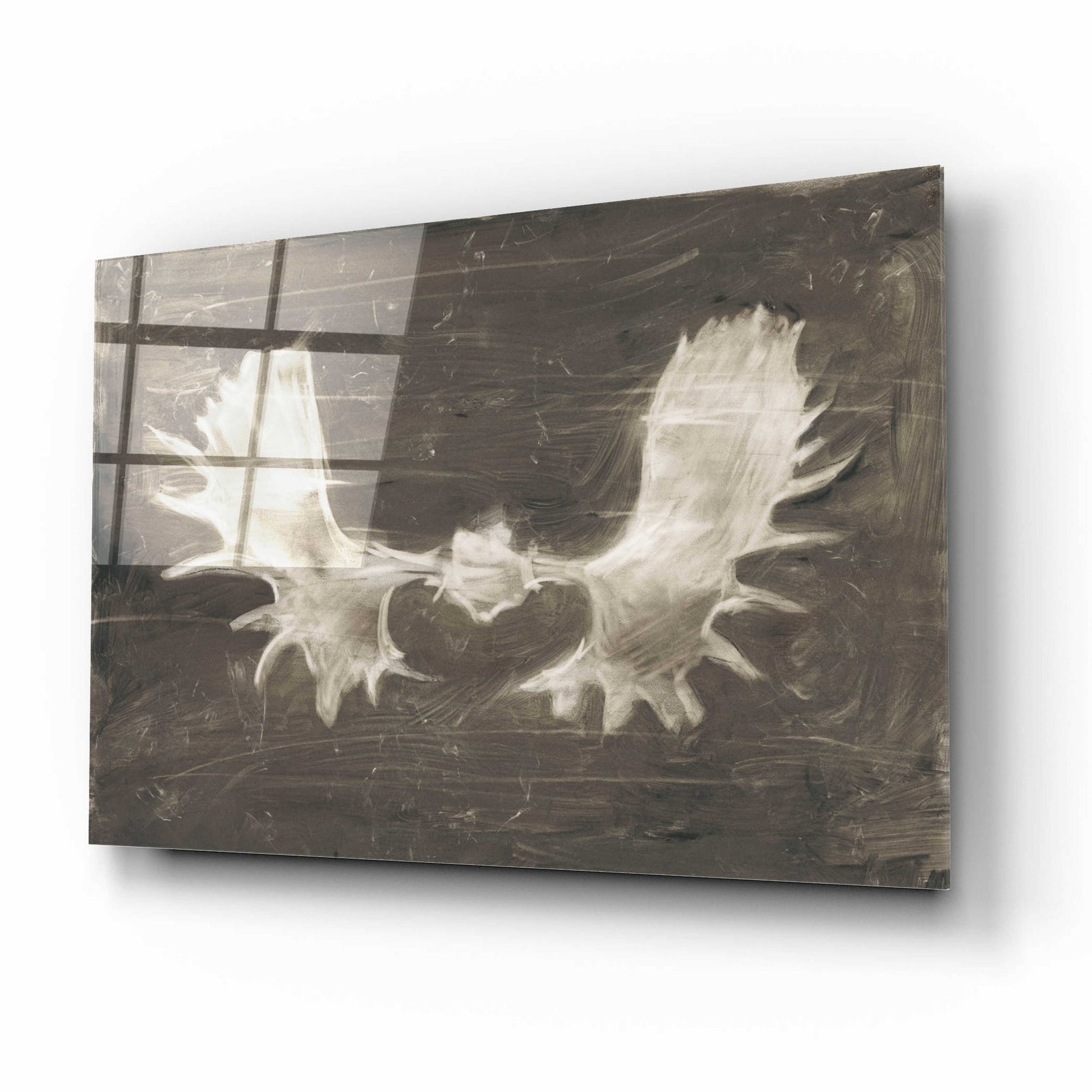 Epic Art 'Rustic Moose Mount II' by Ethan Harper, Acrylic Glass Wall Art,16x12