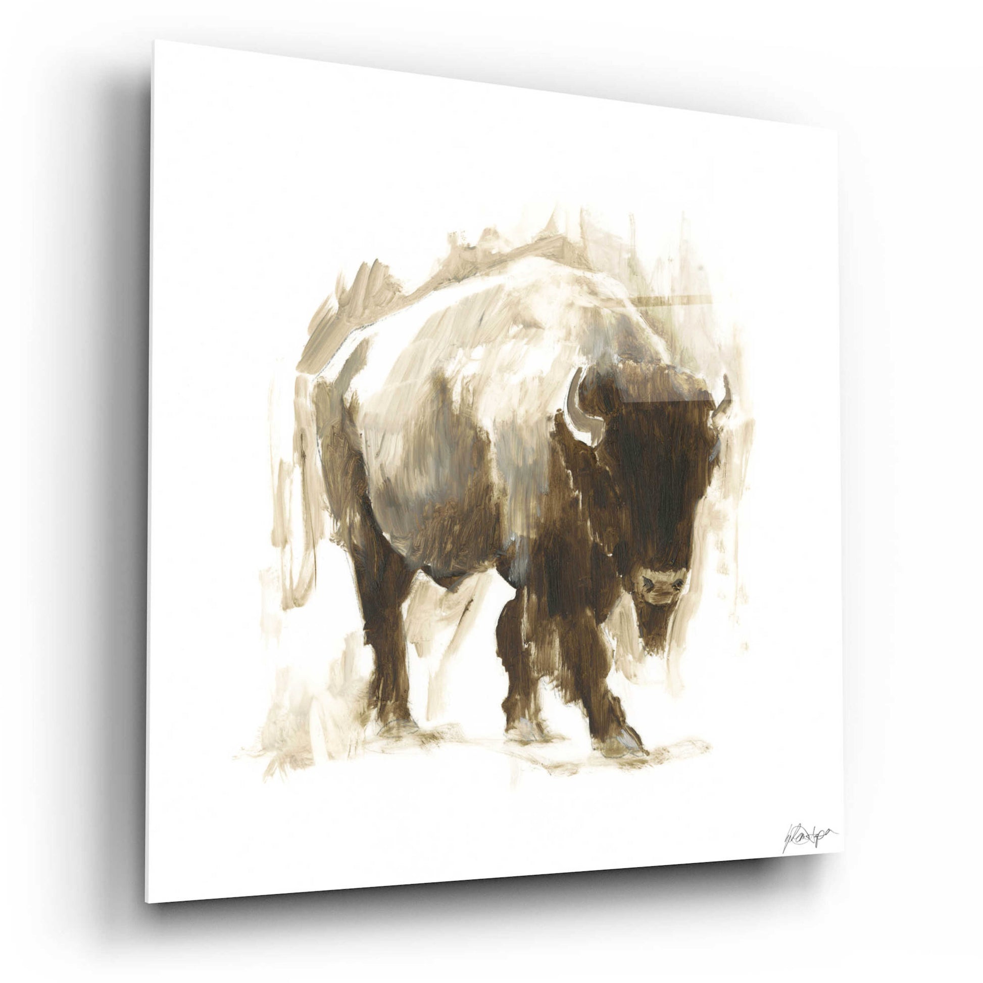 Epic Art 'Rustic Bison I' by Ethan Harper, Acrylic Glass Wall Art,12x12