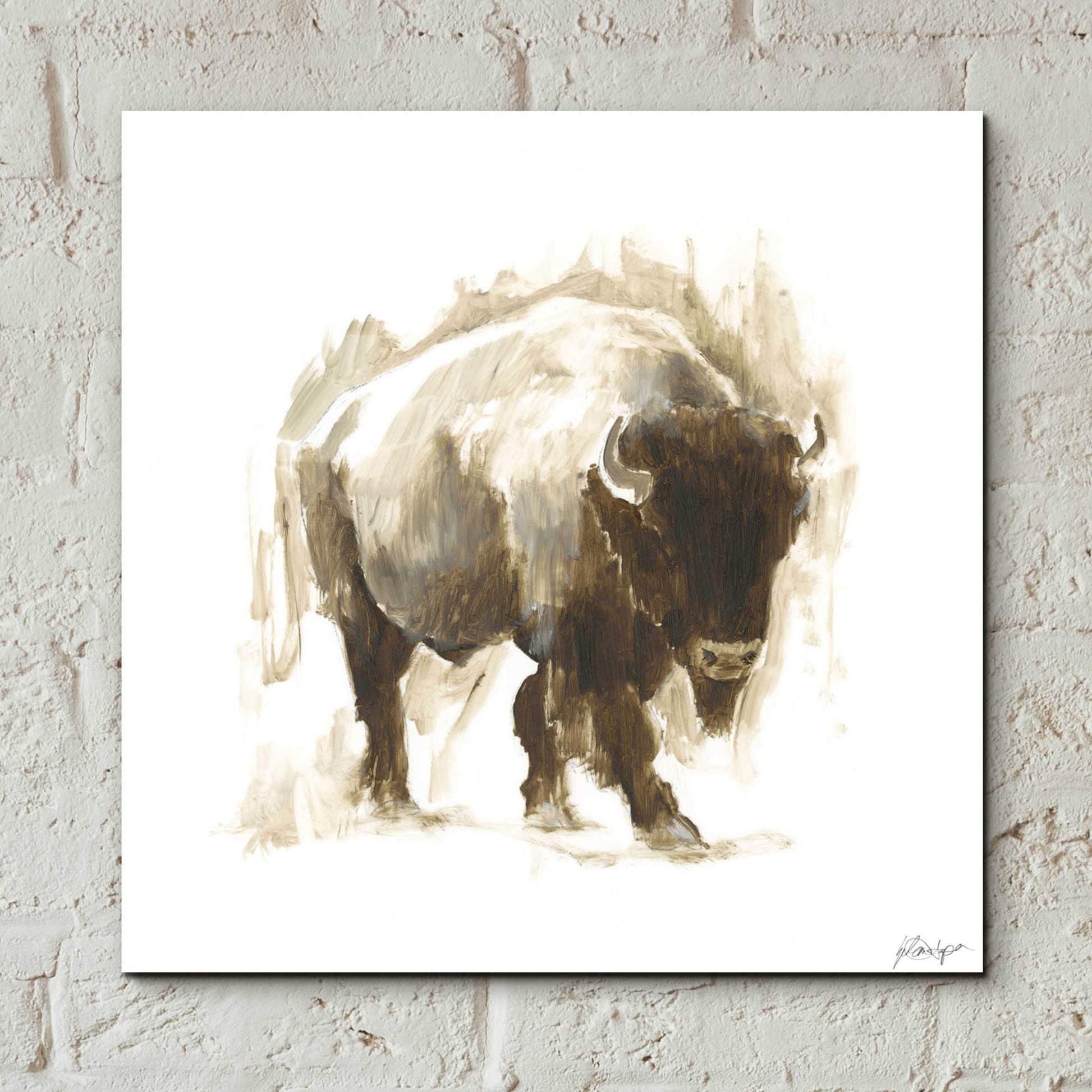 Epic Art 'Rustic Bison I' by Ethan Harper, Acrylic Glass Wall Art,12x12