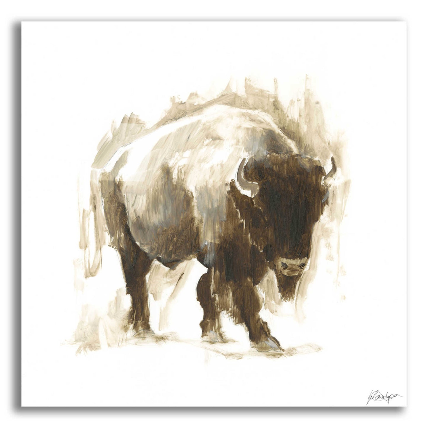 Epic Art 'Rustic Bison I' by Ethan Harper, Acrylic Glass Wall Art,12x12