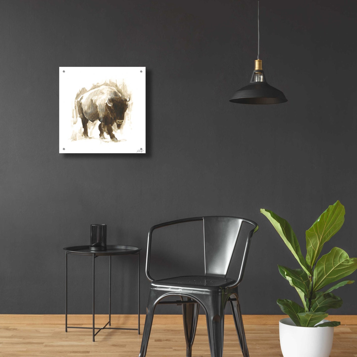 Epic Art 'Rustic Bison I' by Ethan Harper, Acrylic Glass Wall Art,24x24