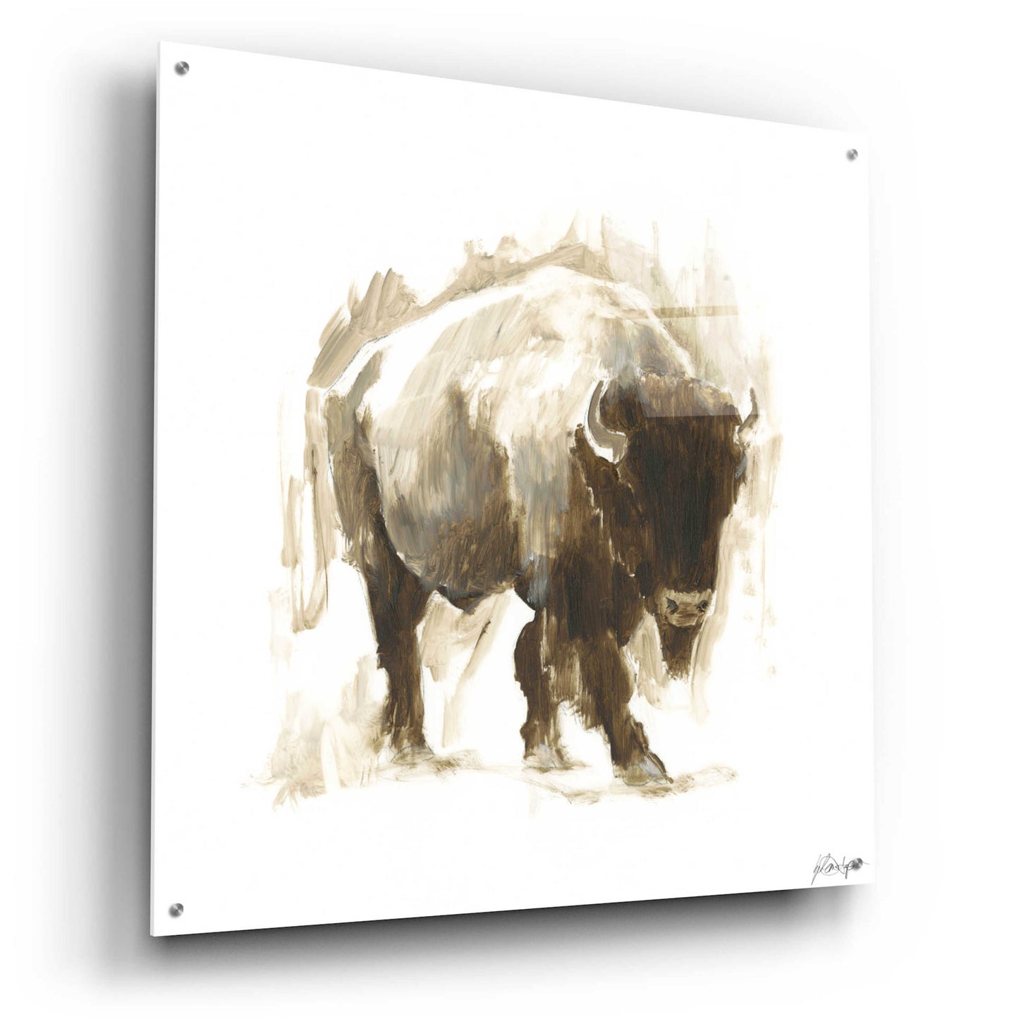 Epic Art 'Rustic Bison I' by Ethan Harper, Acrylic Glass Wall Art,36x36