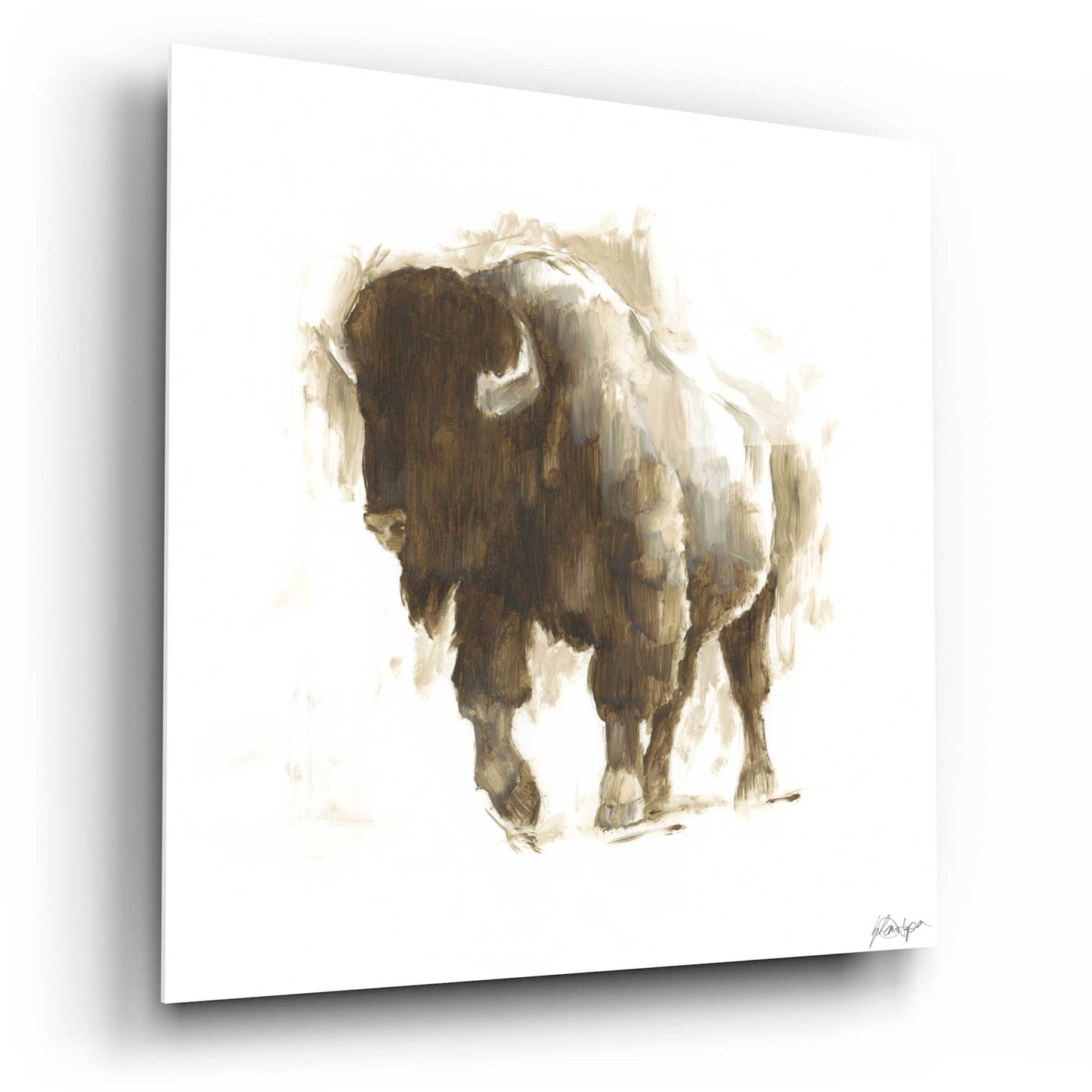 Epic Art 'Rustic Bison II' by Ethan Harper, Acrylic Glass Wall Art,12x12