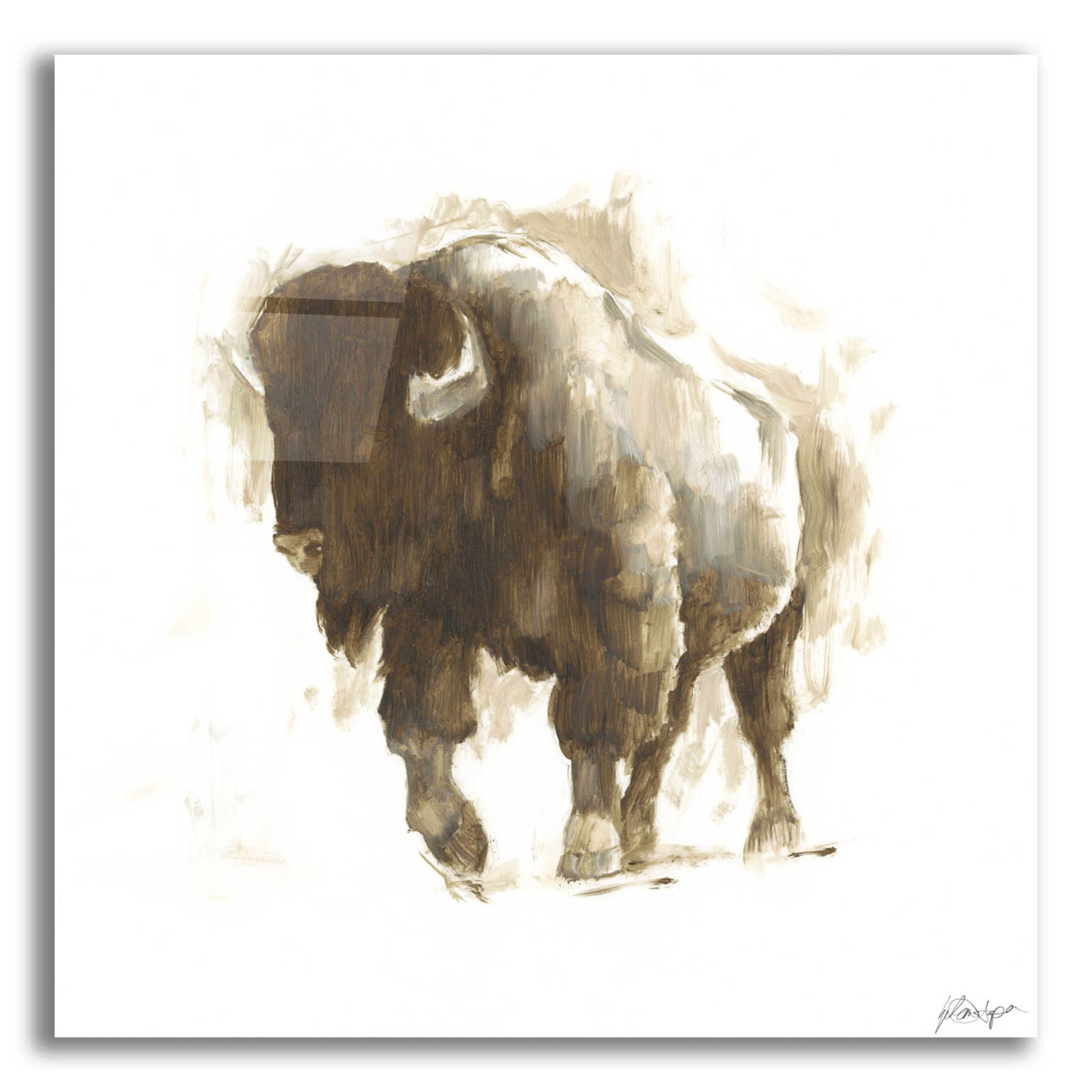 Epic Art 'Rustic Bison II' by Ethan Harper, Acrylic Glass Wall Art,12x12