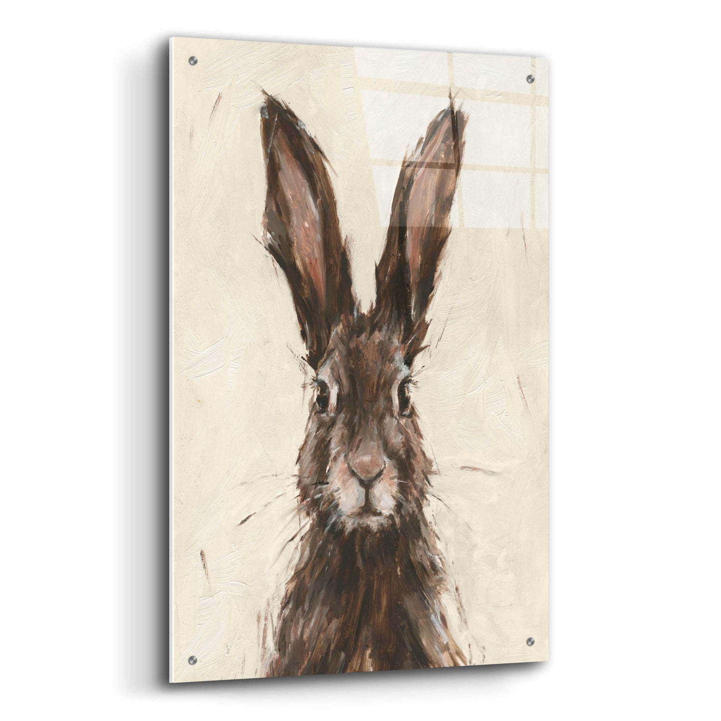 Epic Art 'European Hare I' by Ethan Harper, Acrylic Glass Wall Art,24x36