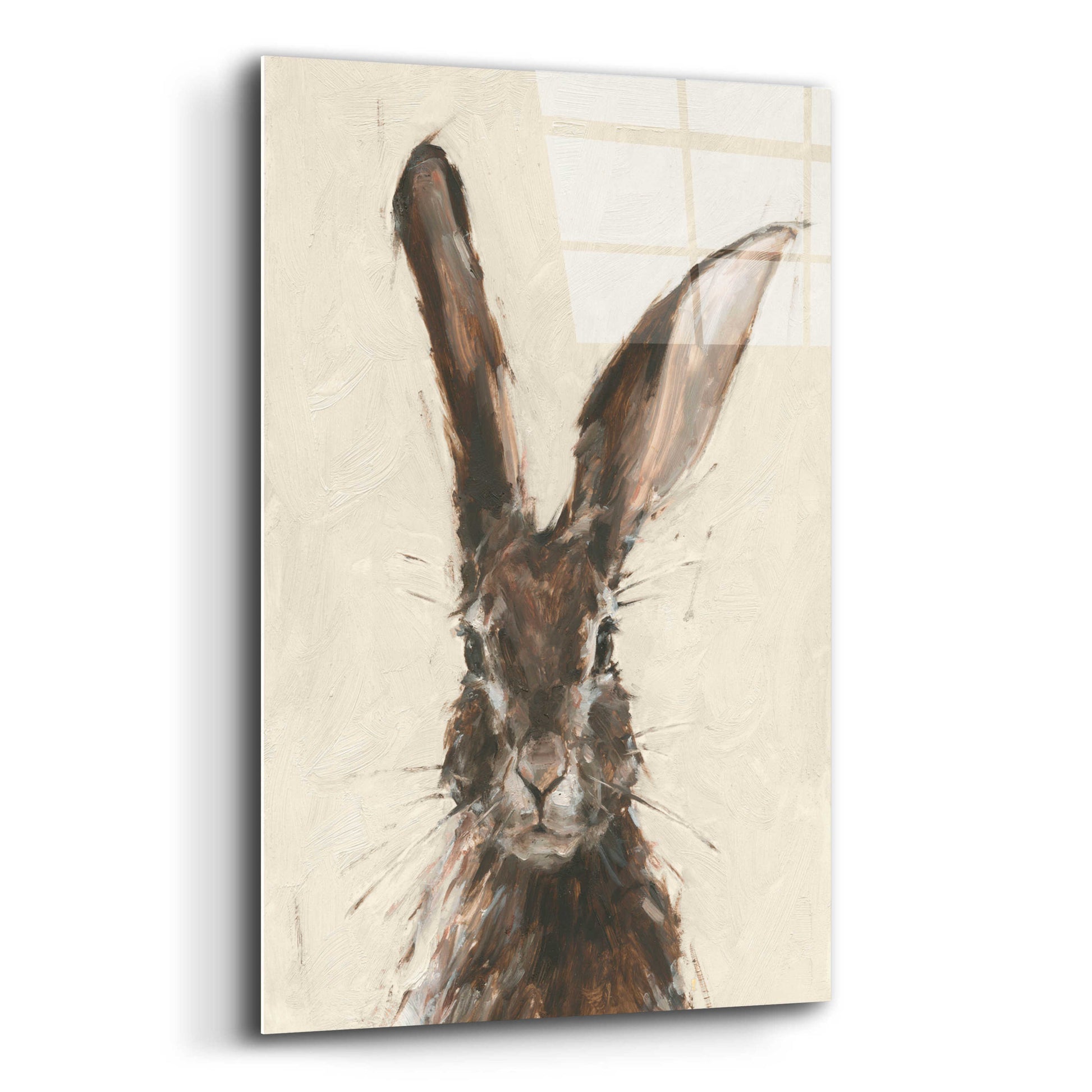 Epic Art 'European Hare II' by Ethan Harper, Acrylic Glass Wall Art,12x16