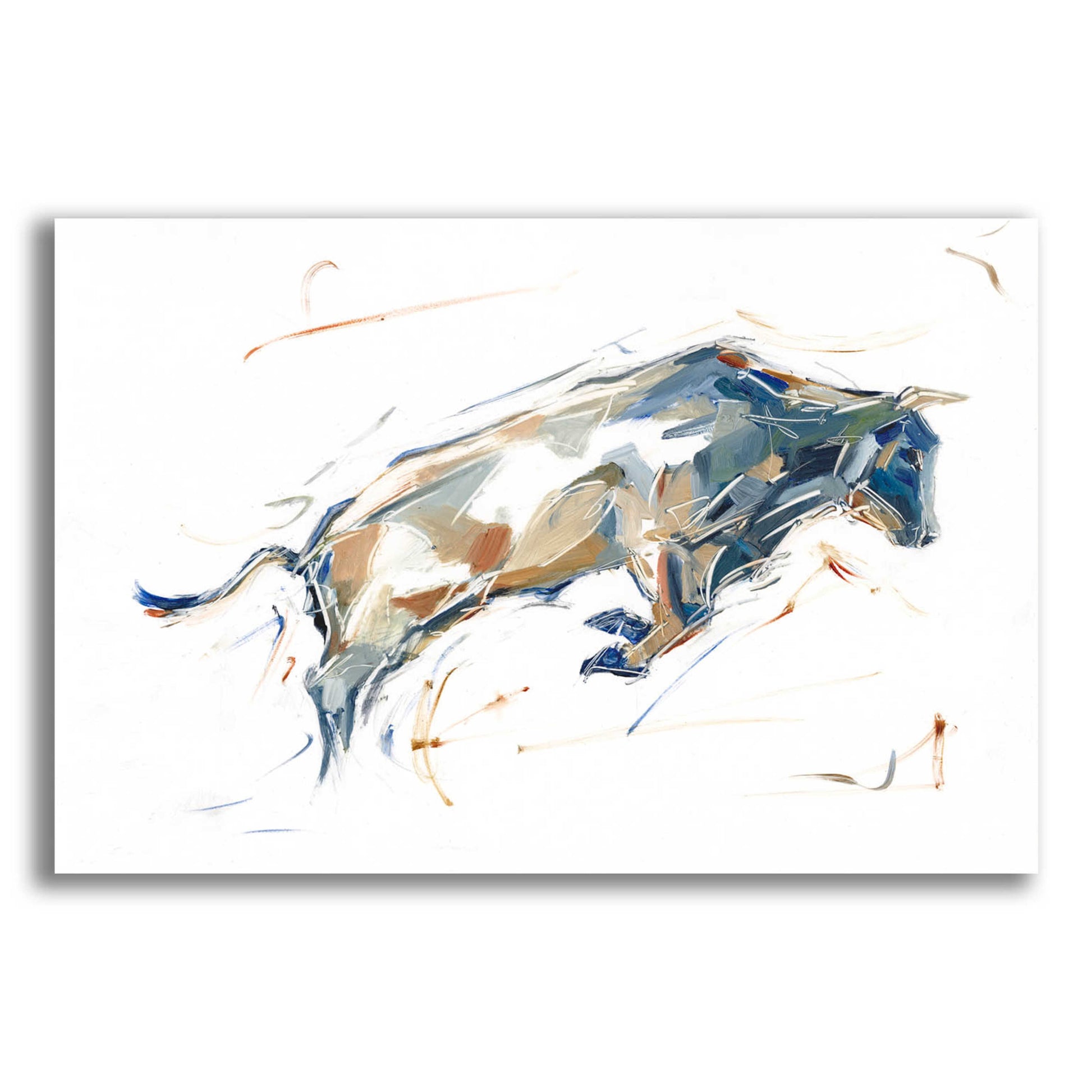 Epic Art 'Modern Bull Study I' by Ethan Harper, Acrylic Glass Wall Art,16x12