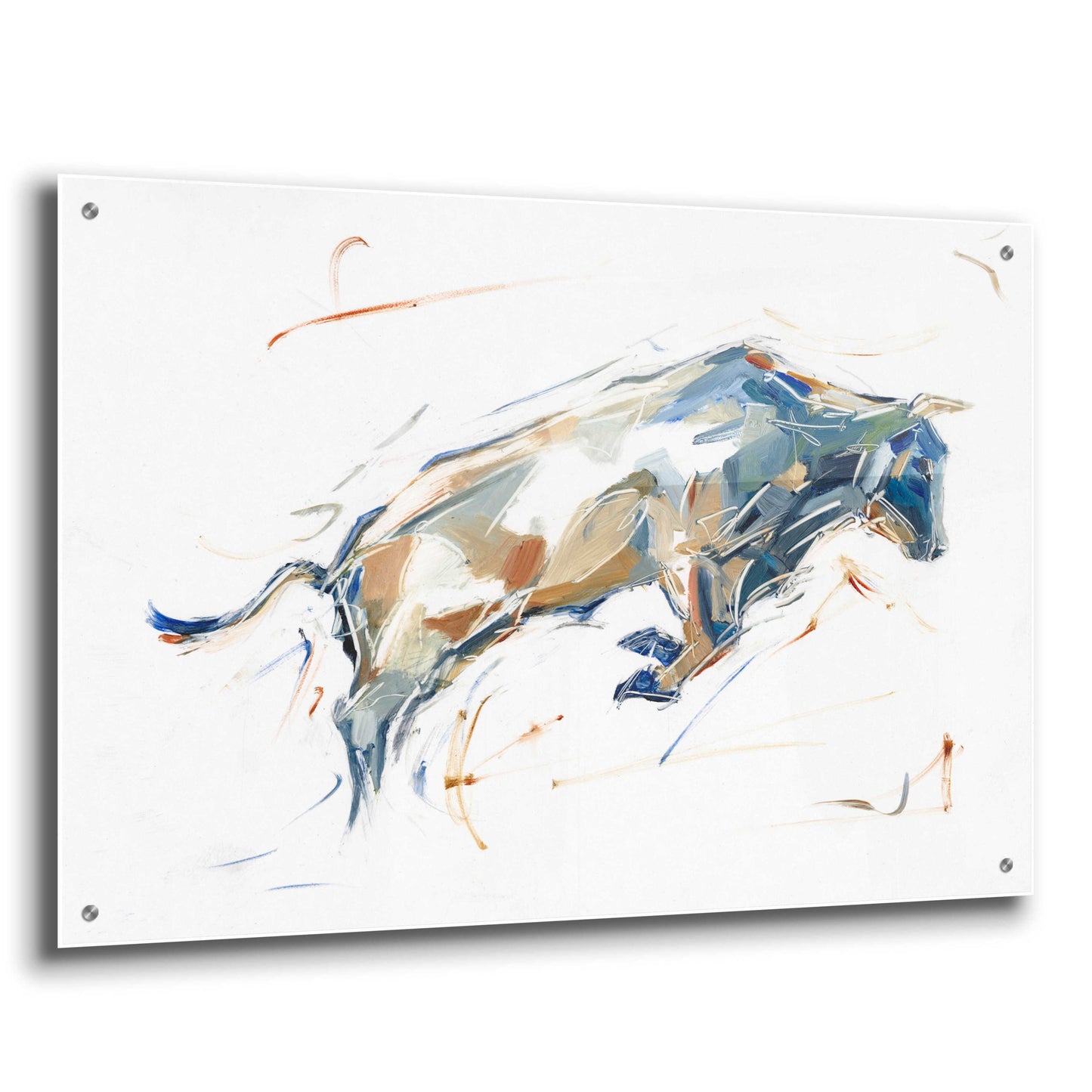 Epic Art 'Modern Bull Study I' by Ethan Harper, Acrylic Glass Wall Art,36x24