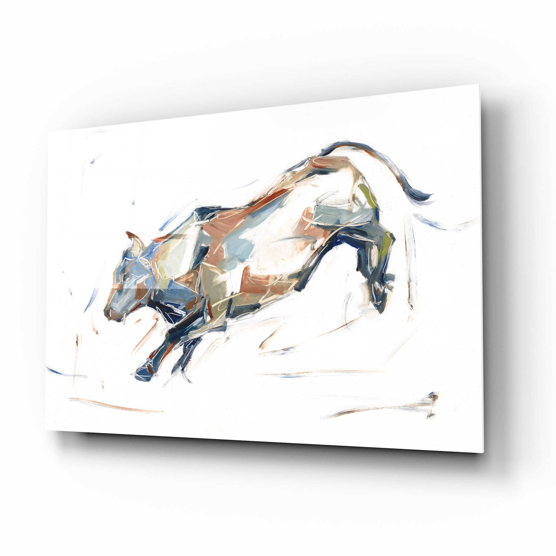 Epic Art 'Modern Bull Study II' by Ethan Harper, Acrylic Glass Wall Art,16x12