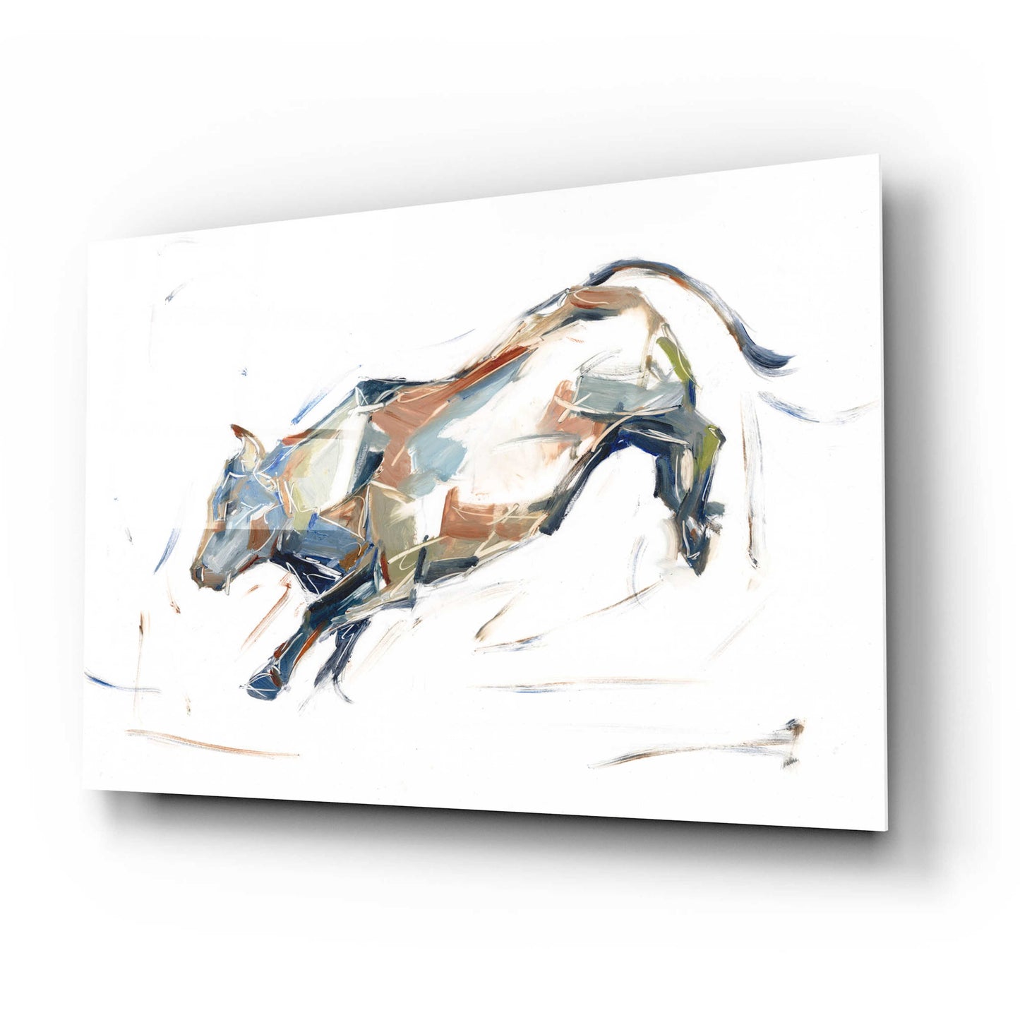 Epic Art 'Modern Bull Study II' by Ethan Harper, Acrylic Glass Wall Art,24x16