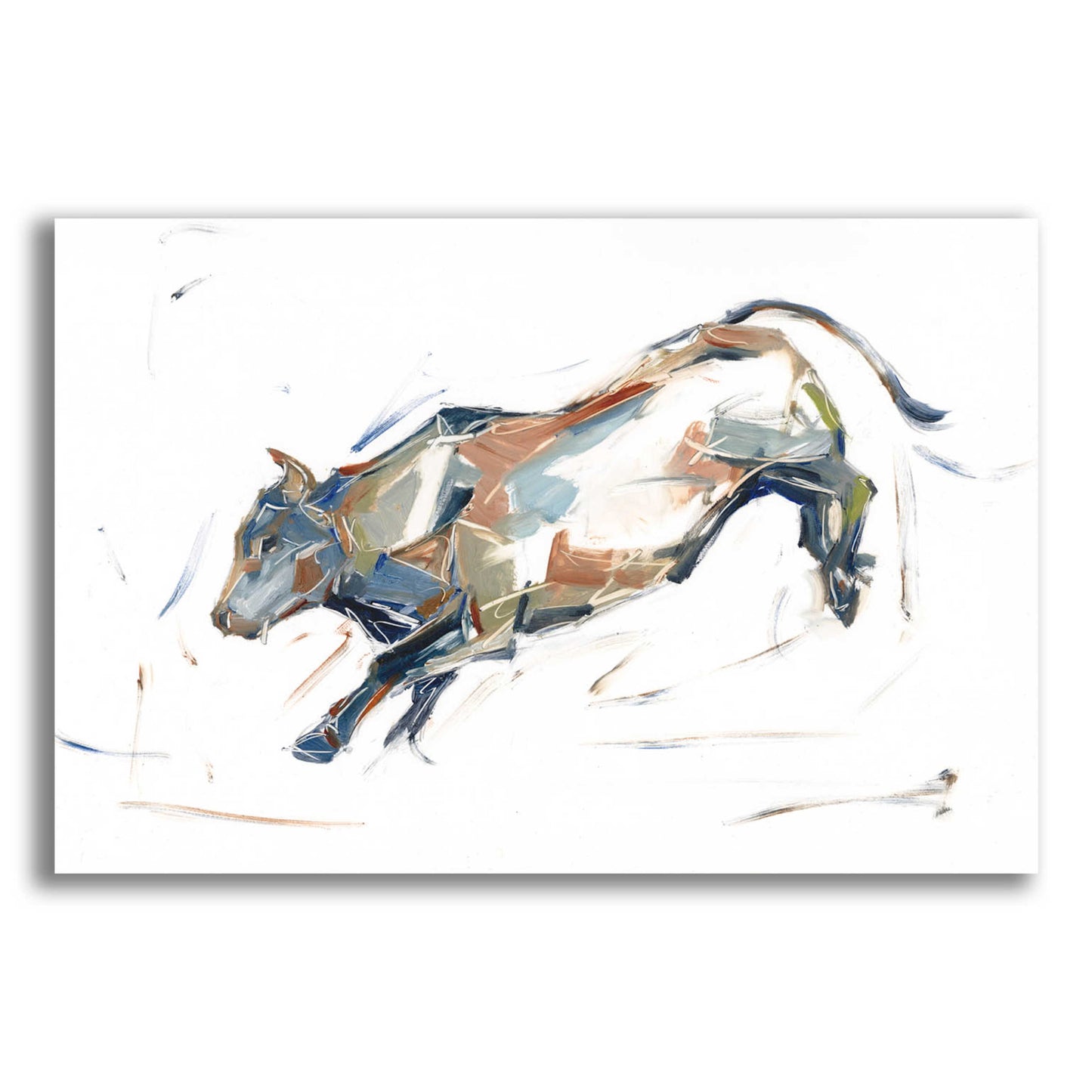 Epic Art 'Modern Bull Study II' by Ethan Harper, Acrylic Glass Wall Art,24x16