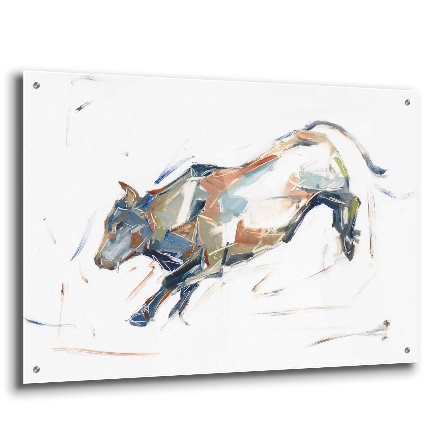 Epic Art 'Modern Bull Study II' by Ethan Harper, Acrylic Glass Wall Art,36x24