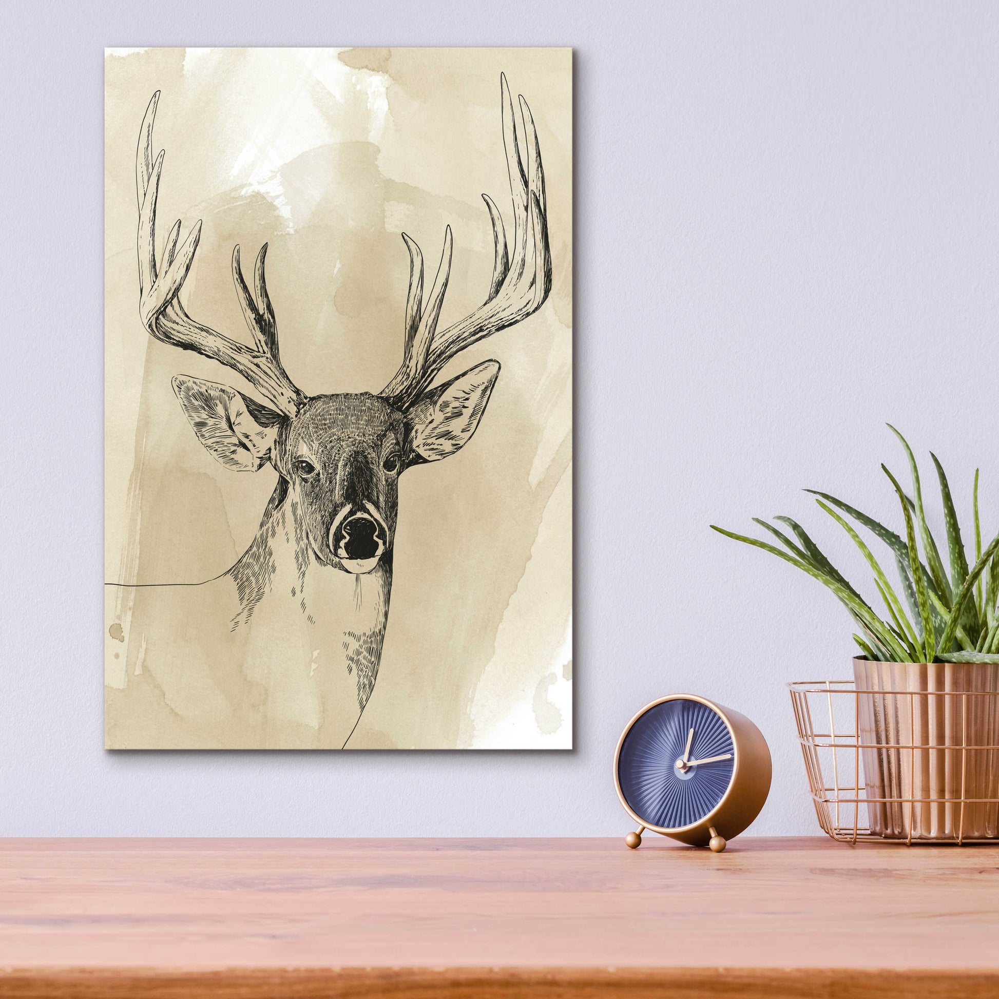 Epic Art 'Burnished Buck I' by Grace Popp, Acrylic Glass Wall Art,12x16