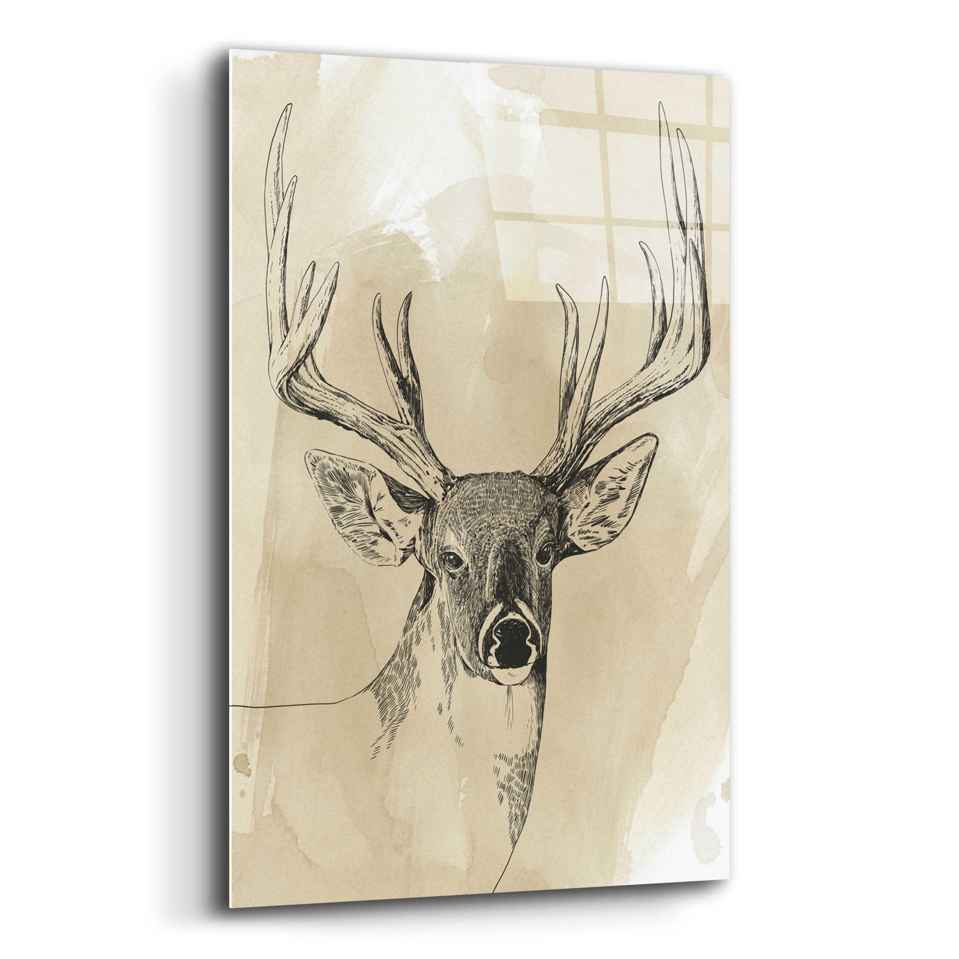 Epic Art 'Burnished Buck I' by Grace Popp, Acrylic Glass Wall Art,16x24