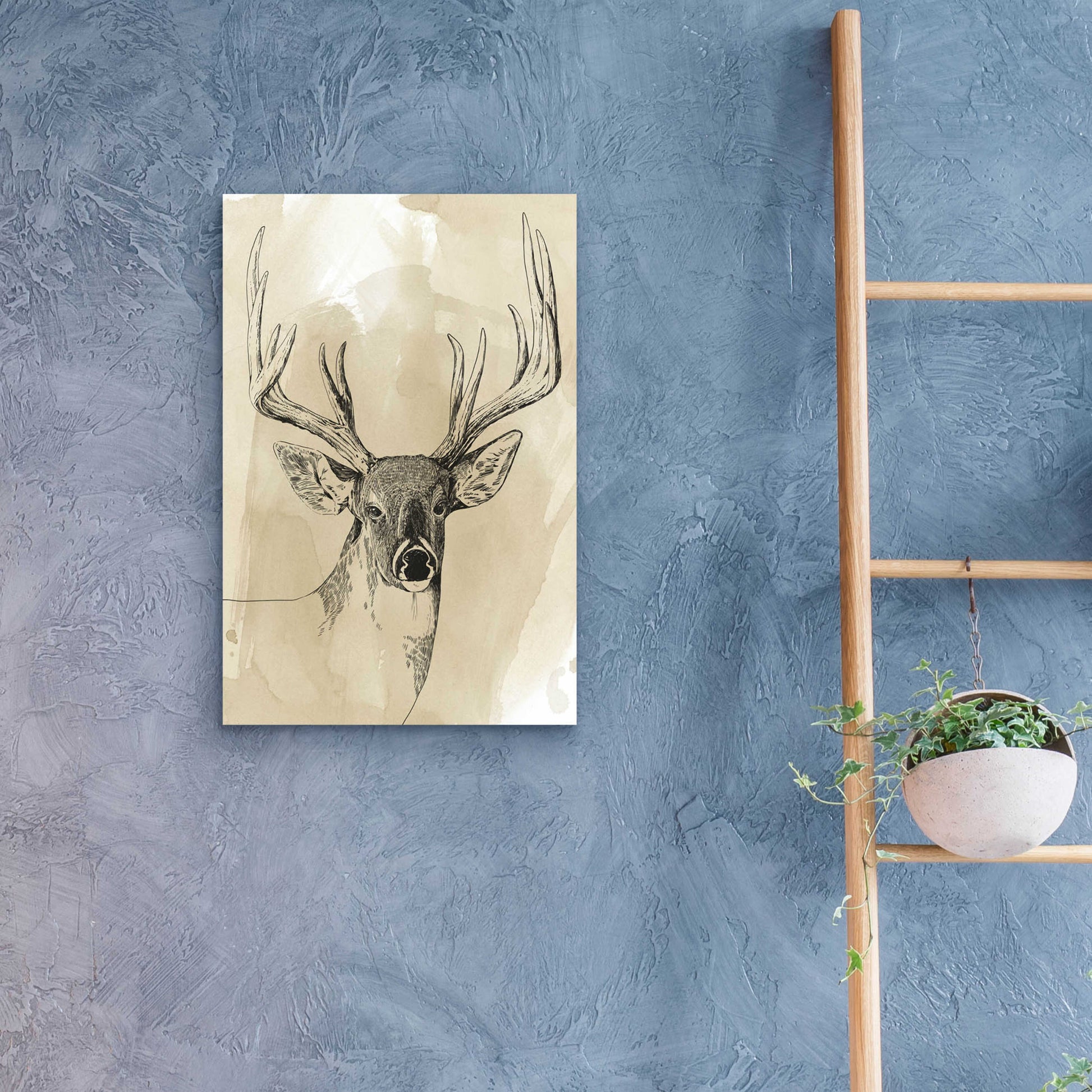 Epic Art 'Burnished Buck I' by Grace Popp, Acrylic Glass Wall Art,16x24