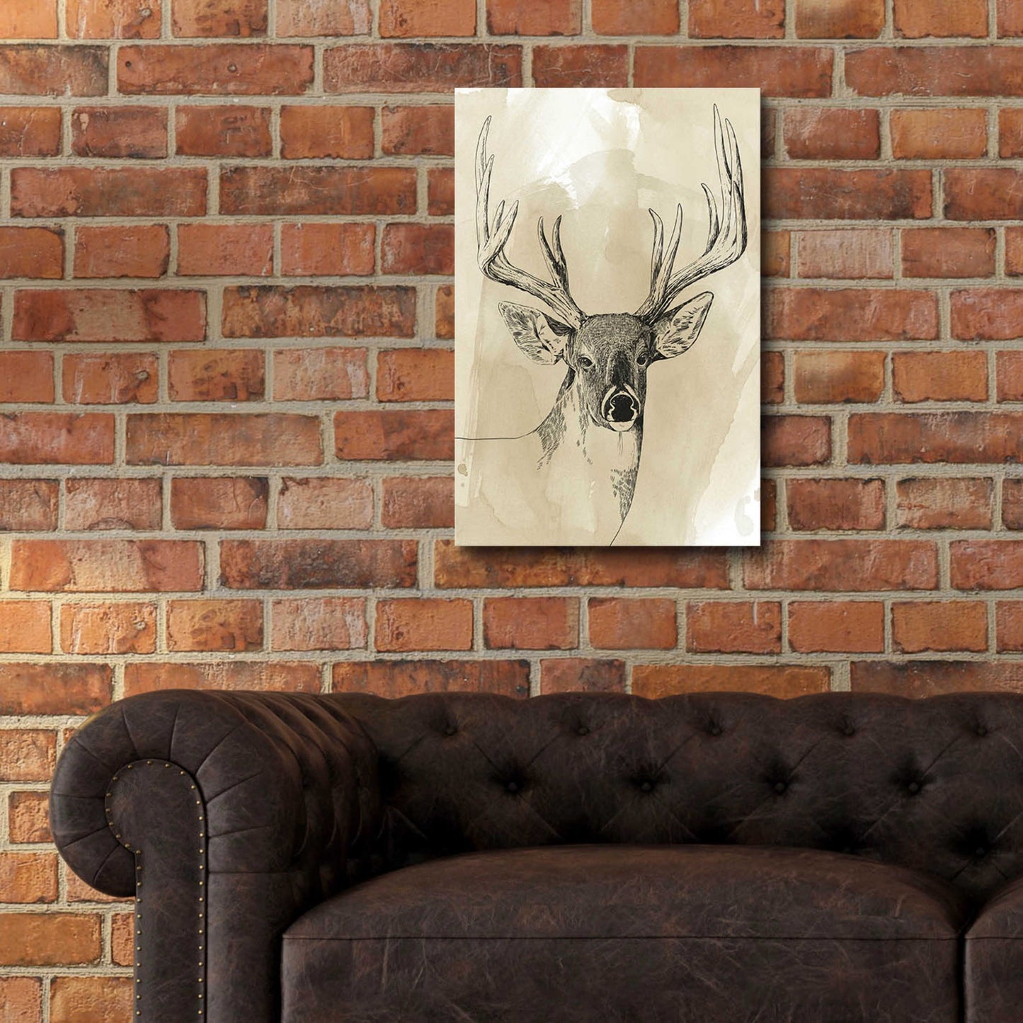 Epic Art 'Burnished Buck I' by Grace Popp, Acrylic Glass Wall Art,16x24