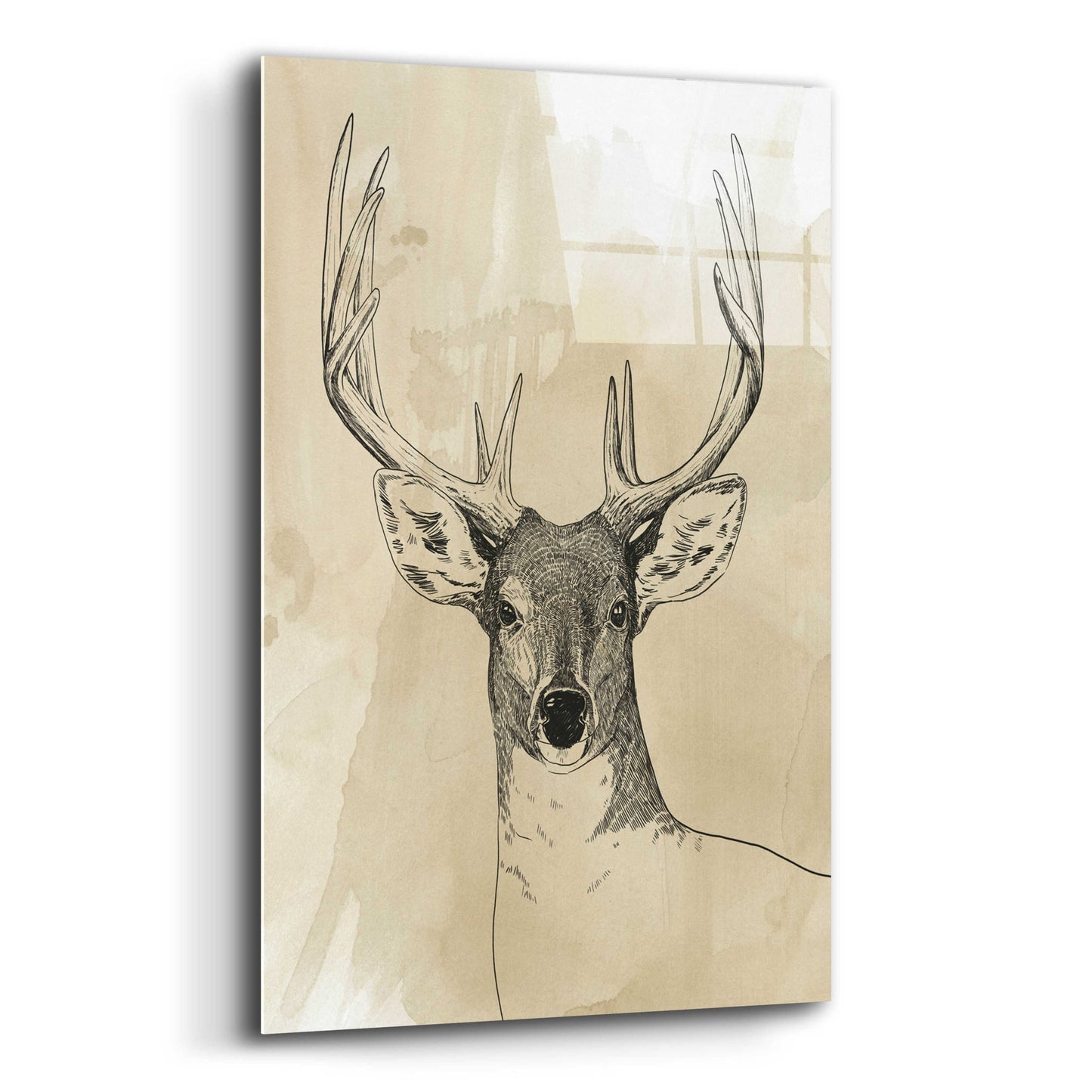 Epic Art 'Burnished Buck II' by Grace Popp, Acrylic Glass Wall Art,12x16