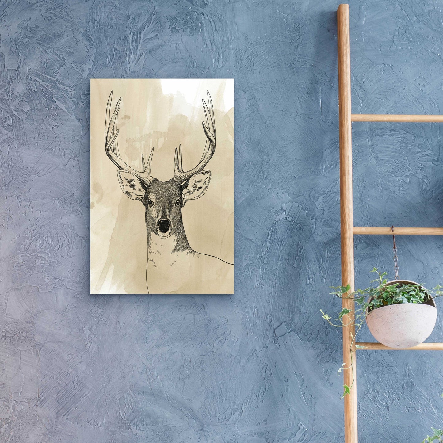 Epic Art 'Burnished Buck II' by Grace Popp, Acrylic Glass Wall Art,16x24