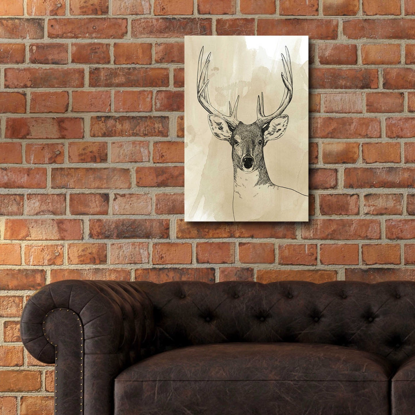 Epic Art 'Burnished Buck II' by Grace Popp, Acrylic Glass Wall Art,16x24