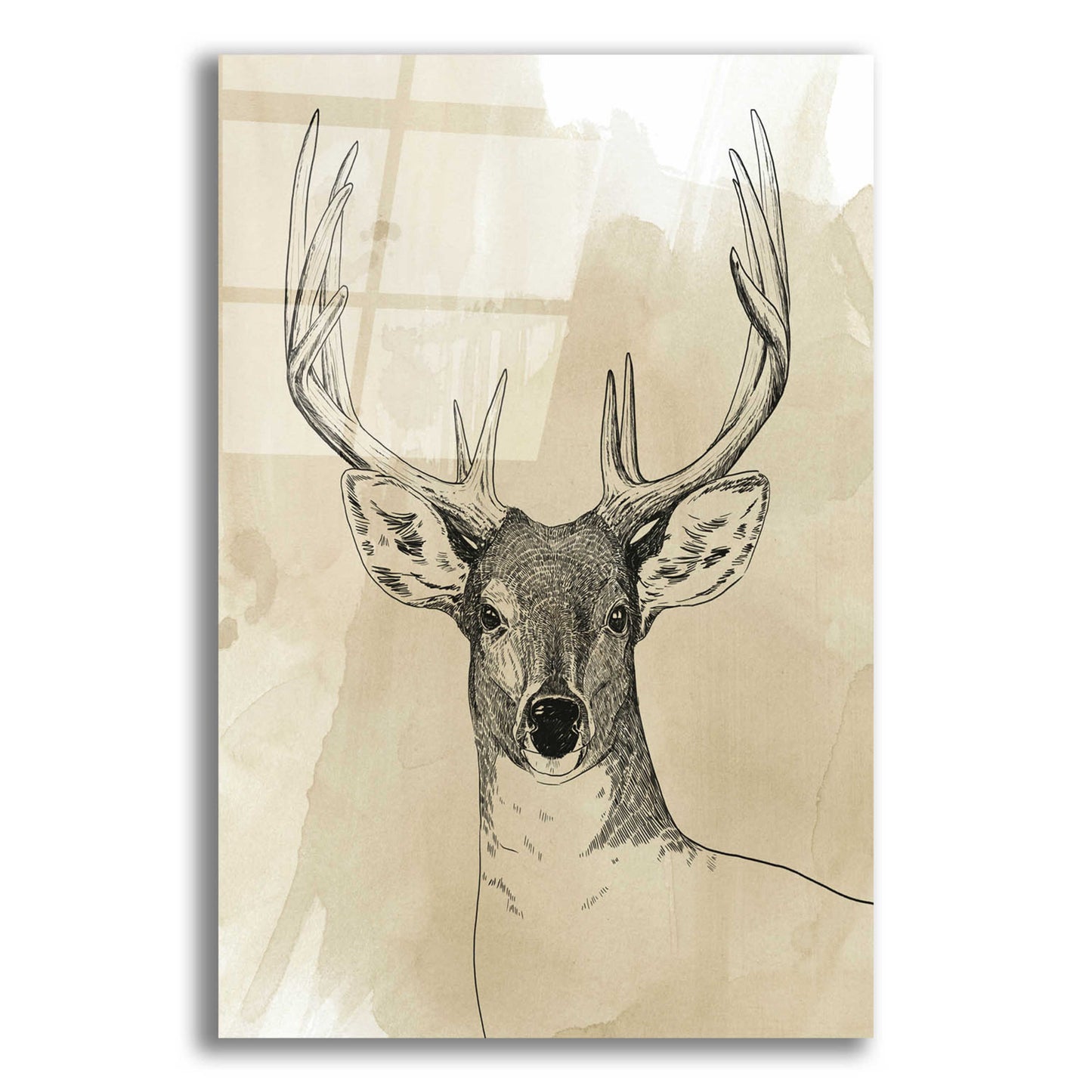 Epic Art 'Burnished Buck II' by Grace Popp, Acrylic Glass Wall Art,16x24