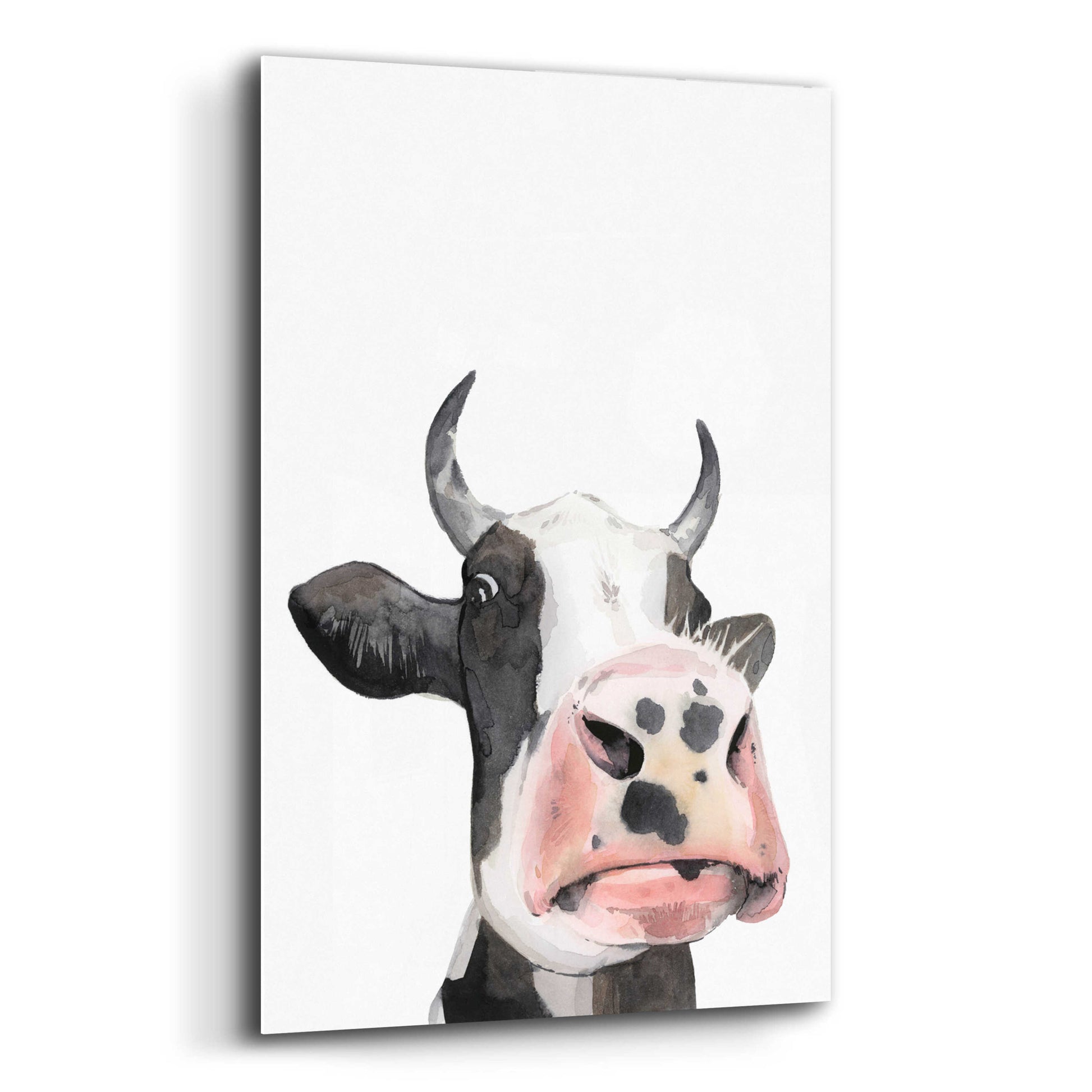 Epic Art 'Watercolor Cow Portrait I' by Grace Popp, Acrylic Glass Wall Art,12x16